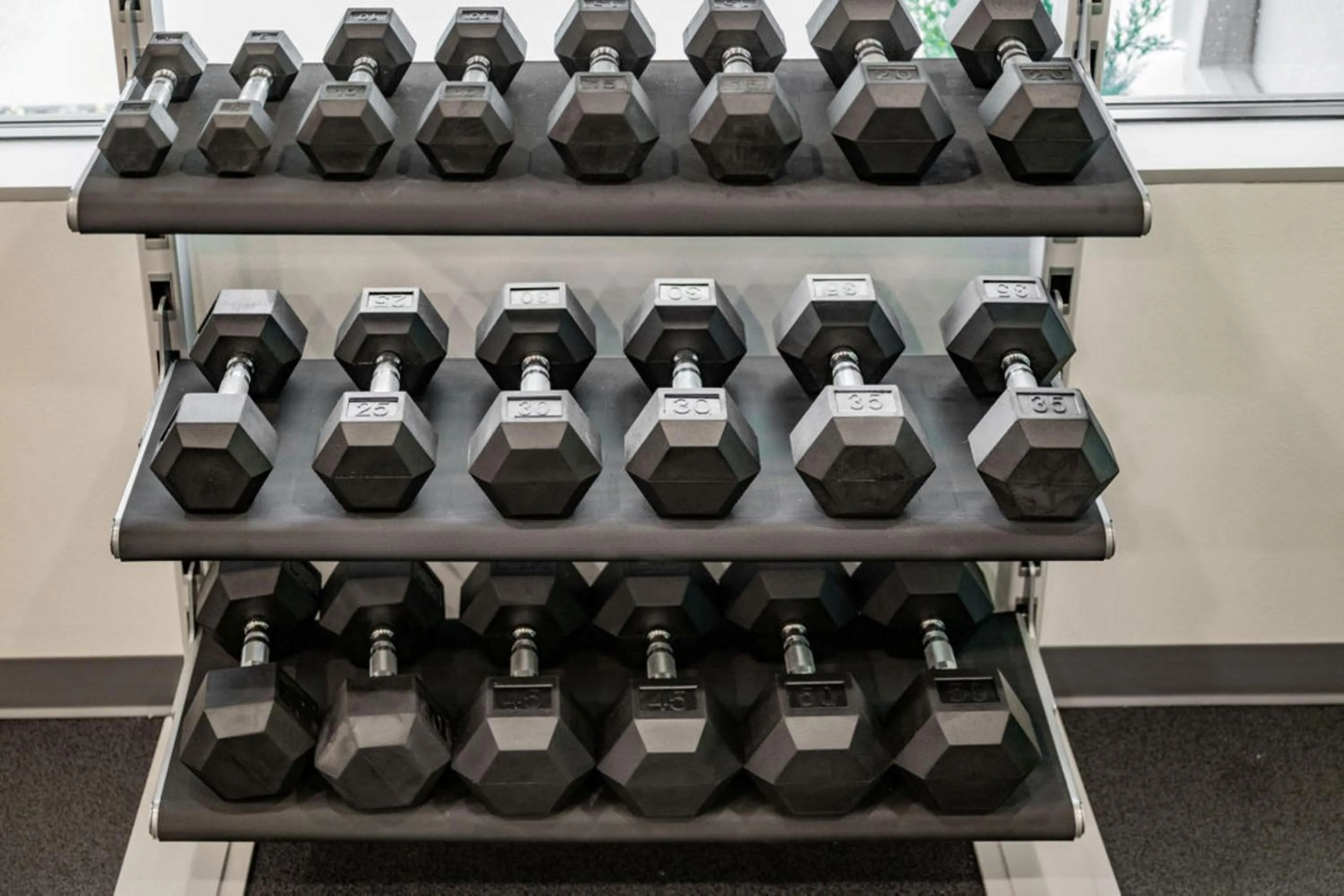 Fitness centre/facilities in Tru By Hilton Grimes Des Moines