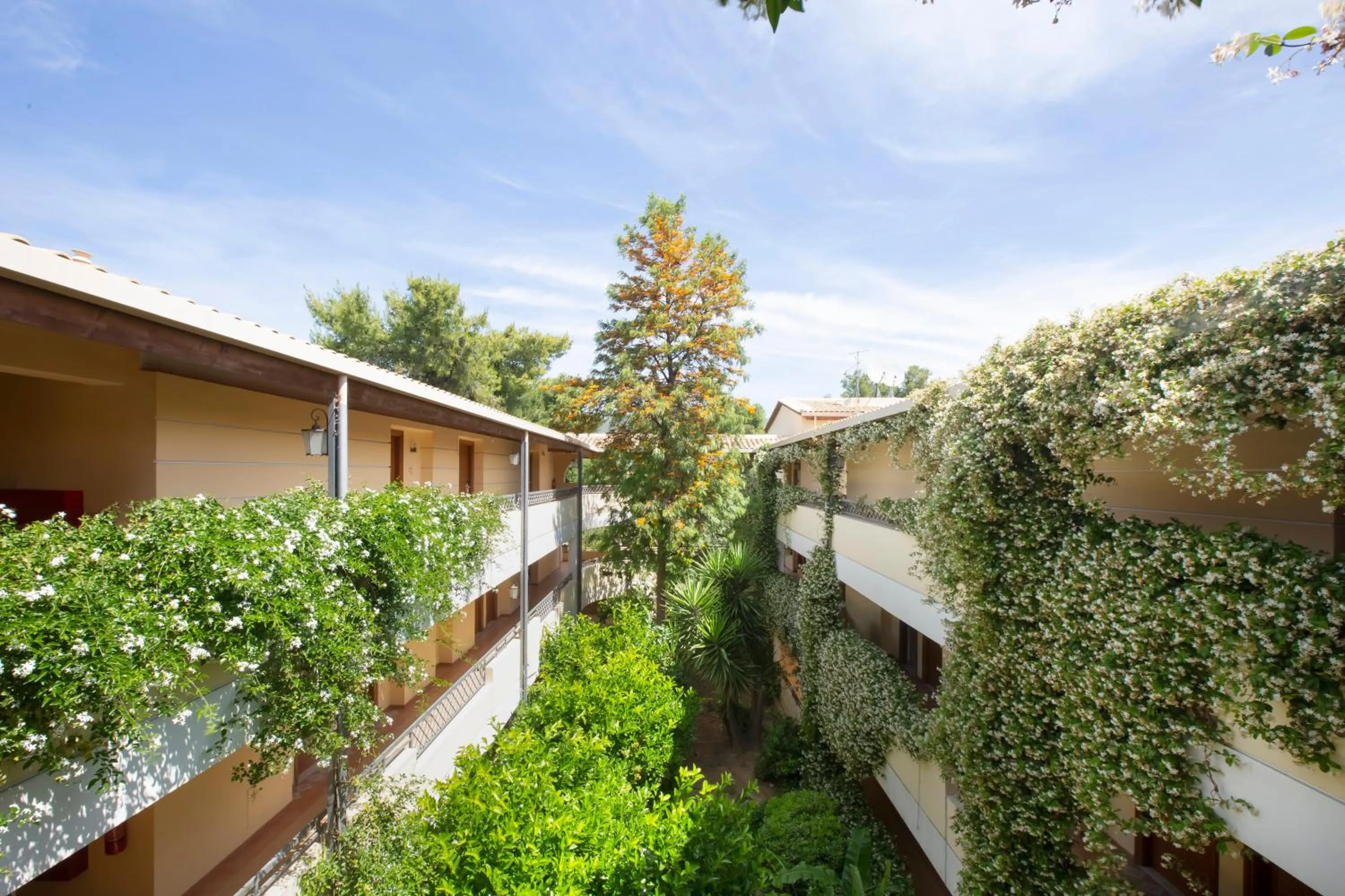 Garden in Negroponte Resort Eretria