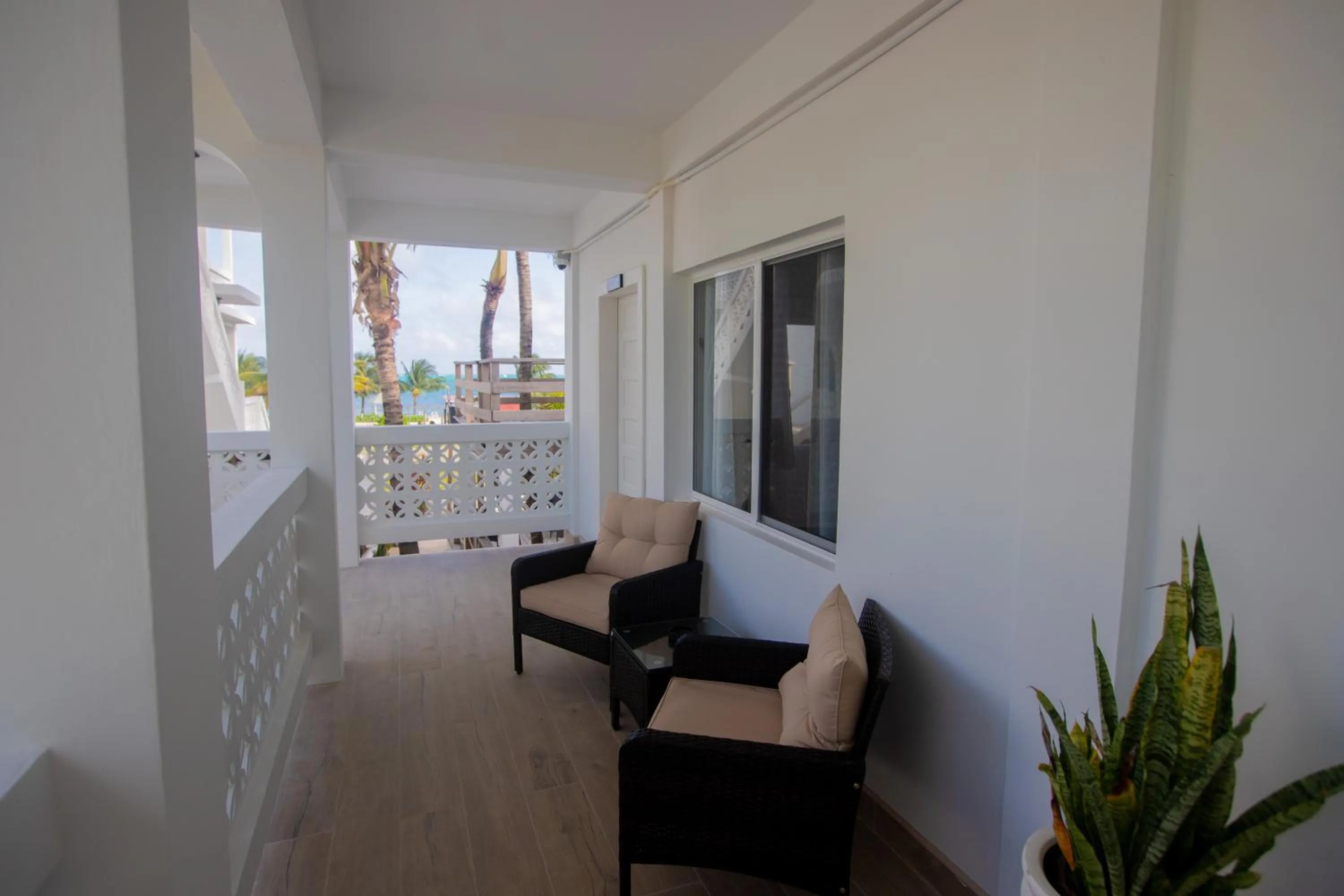 Balcony/Terrace in Treetops Hotel