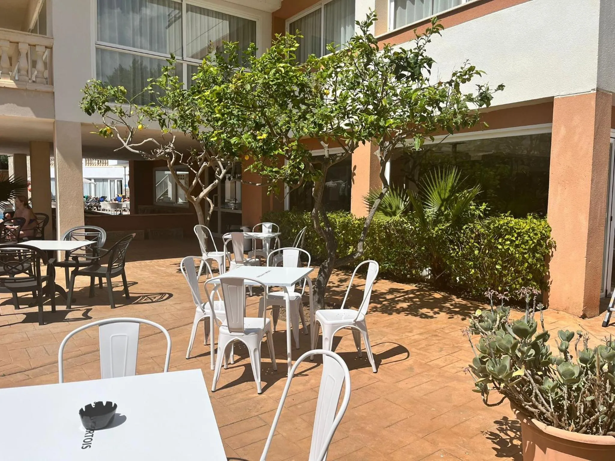 Lounge or bar in Canyamel Classic & Spa, solo Adultos