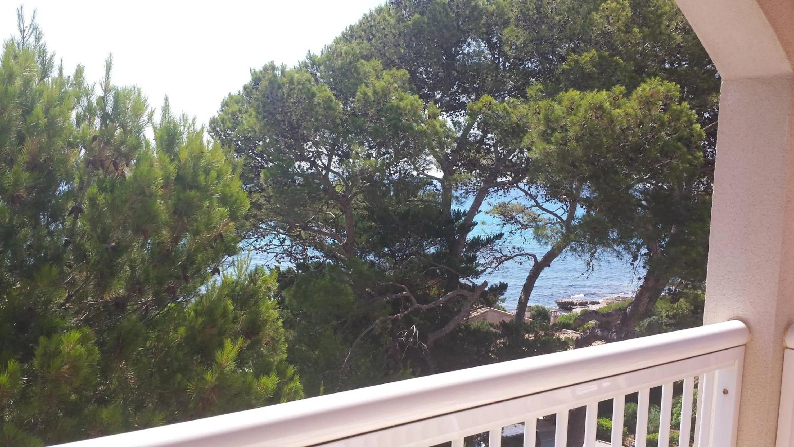 View (from property/room) in Canyamel Classic & Spa, solo Adultos