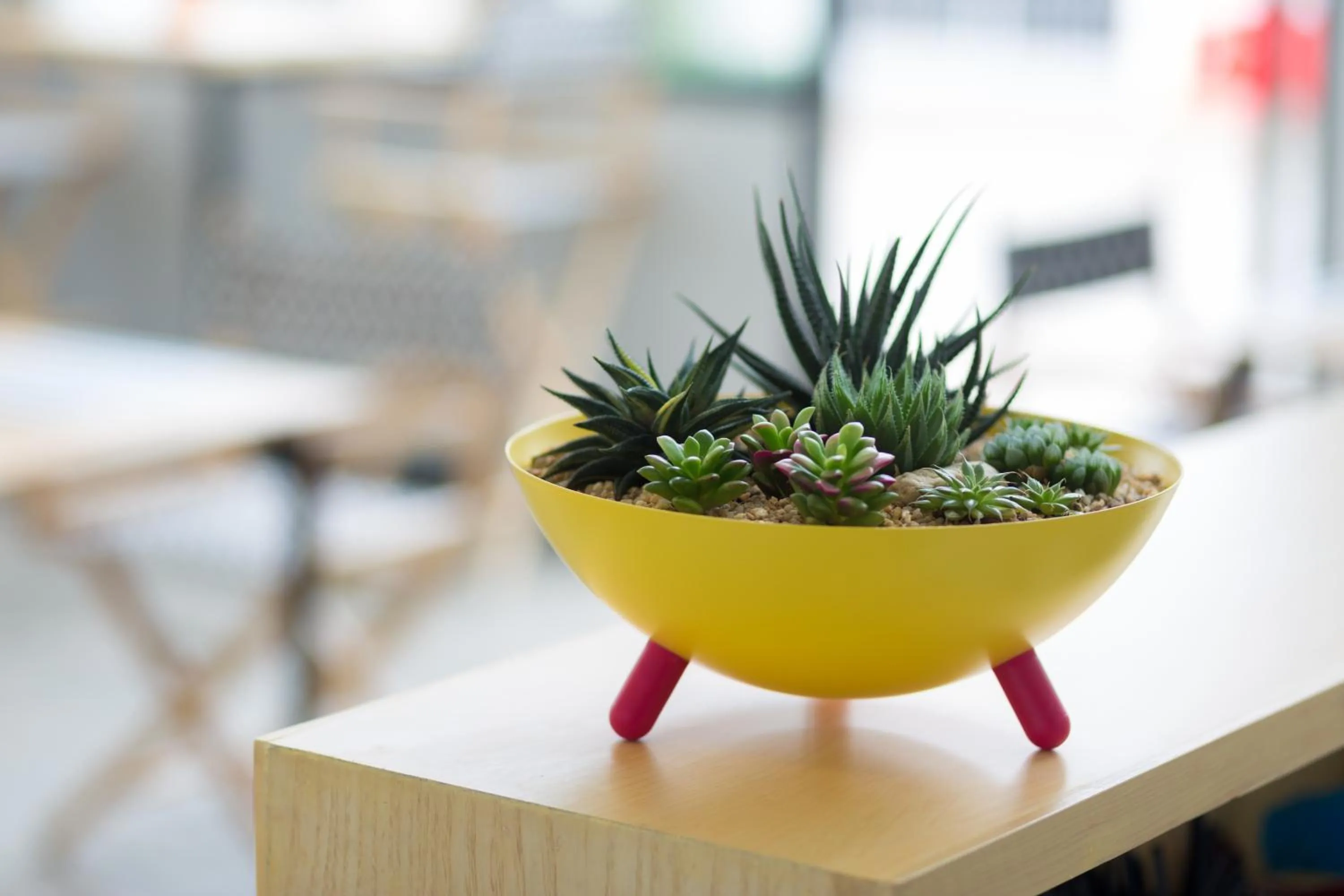 Restaurant/places to eat in M2 Hotel