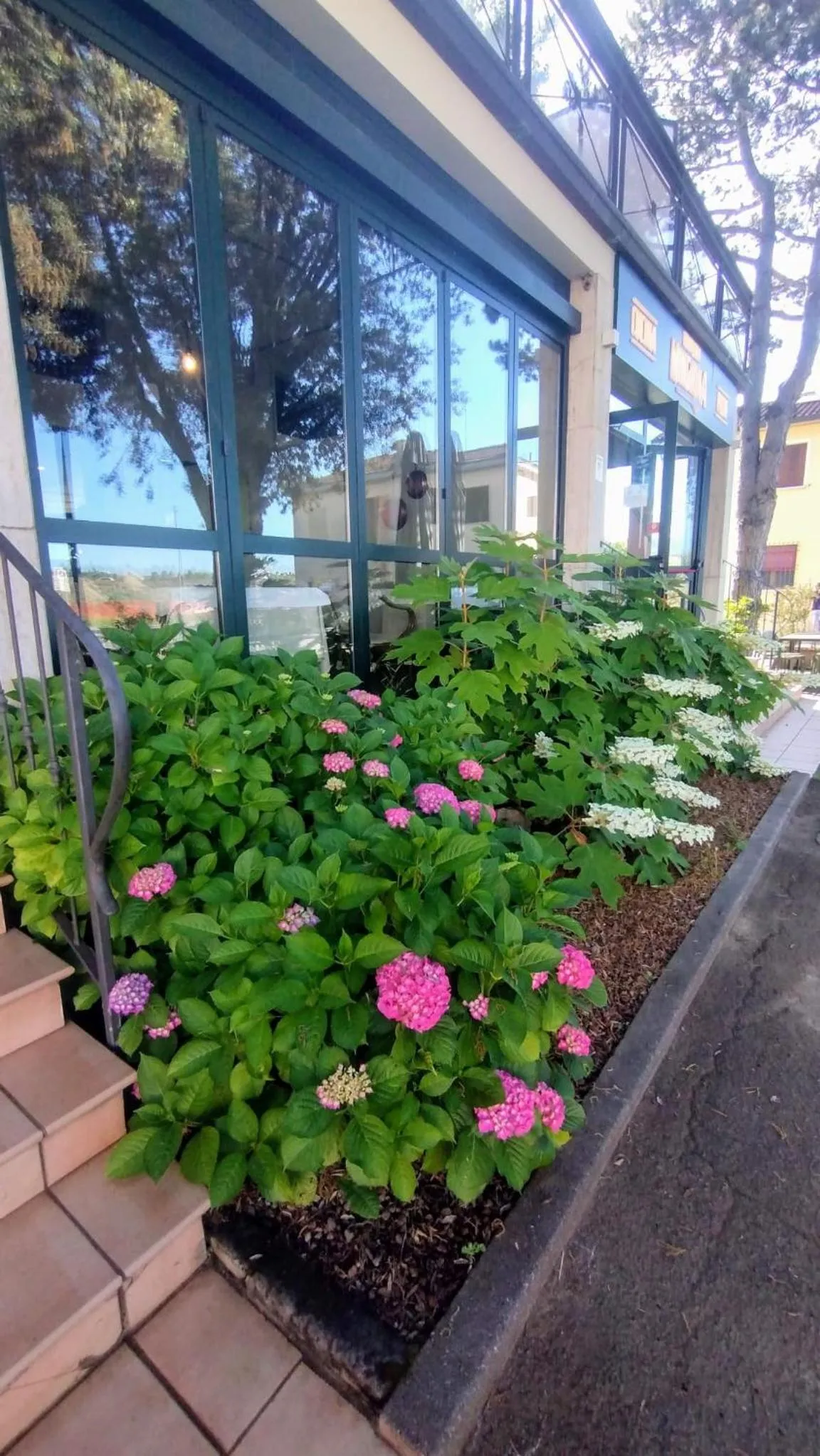 Property building in Hotel Classicano