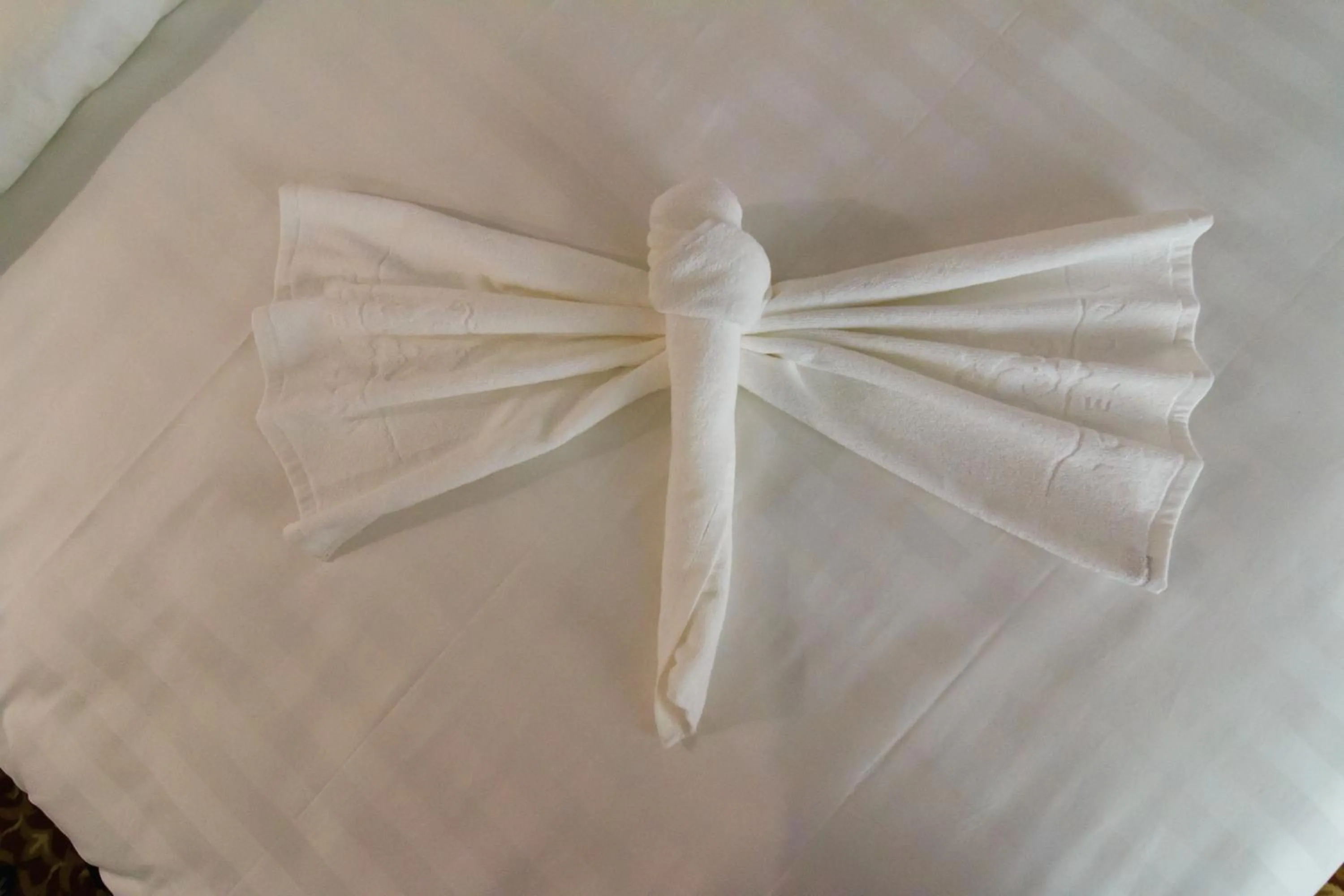 Bedroom in Hotel Luna Annex