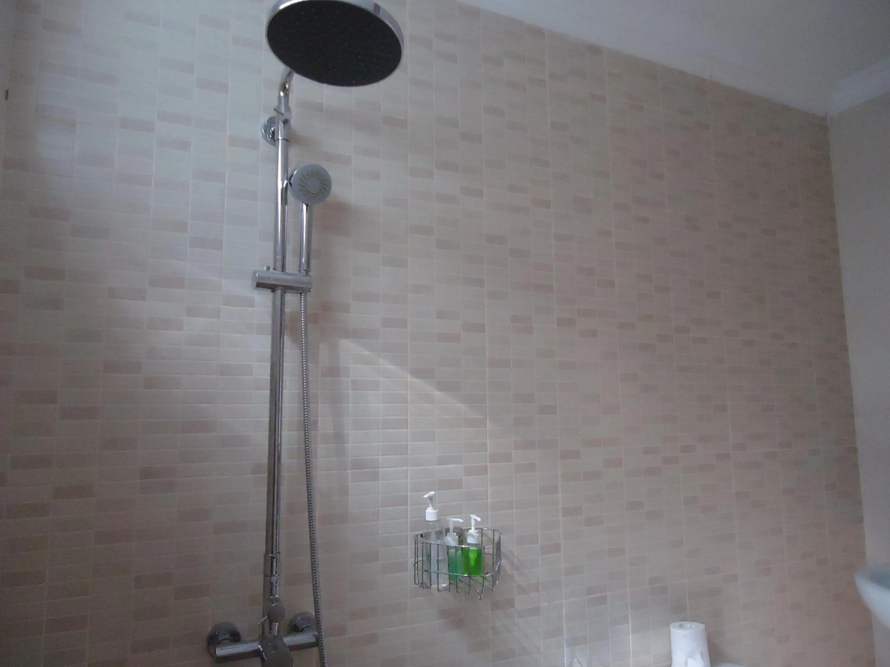 Bathroom in Dewa Put Guest House