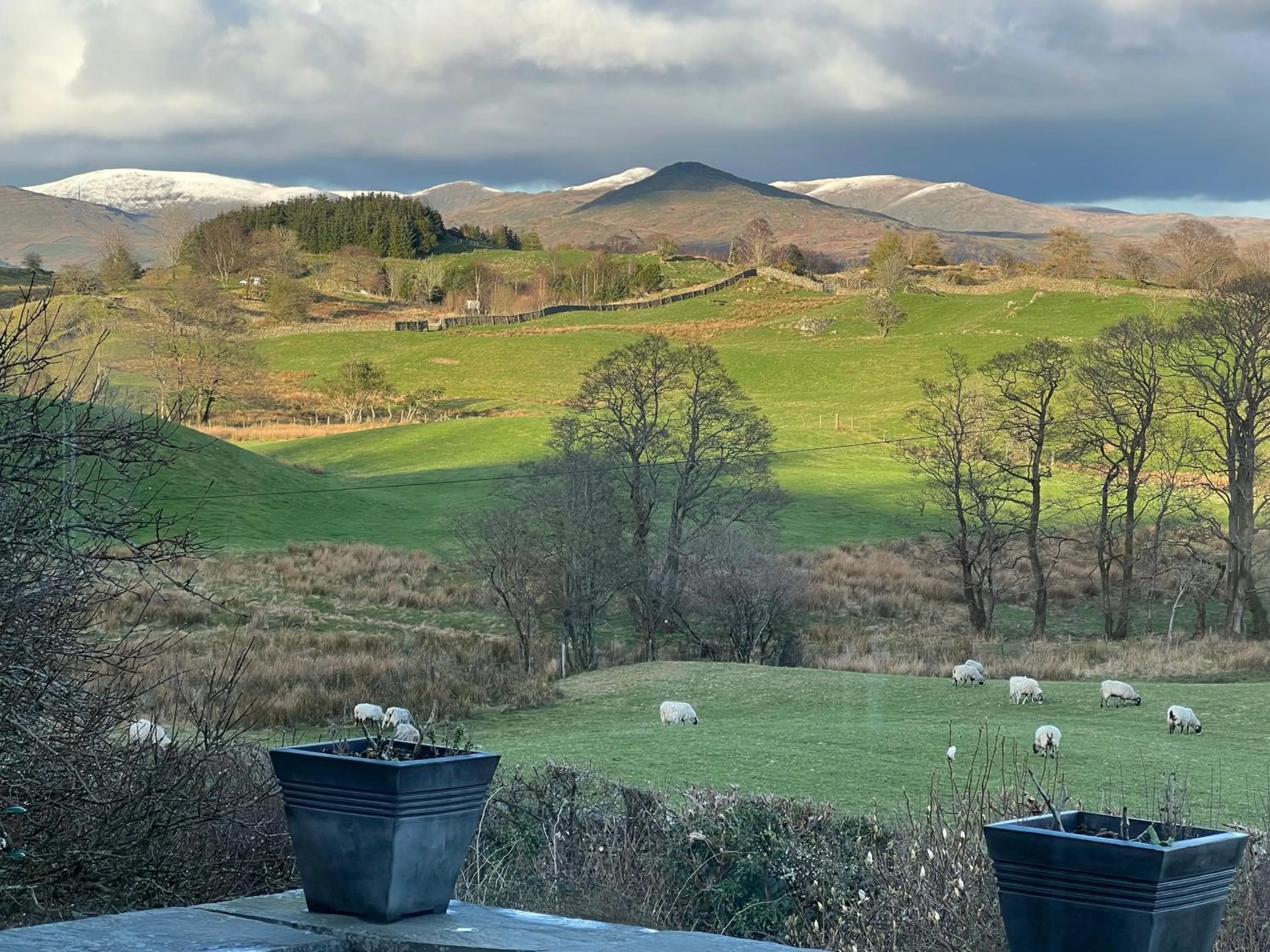 High Grassings Country House