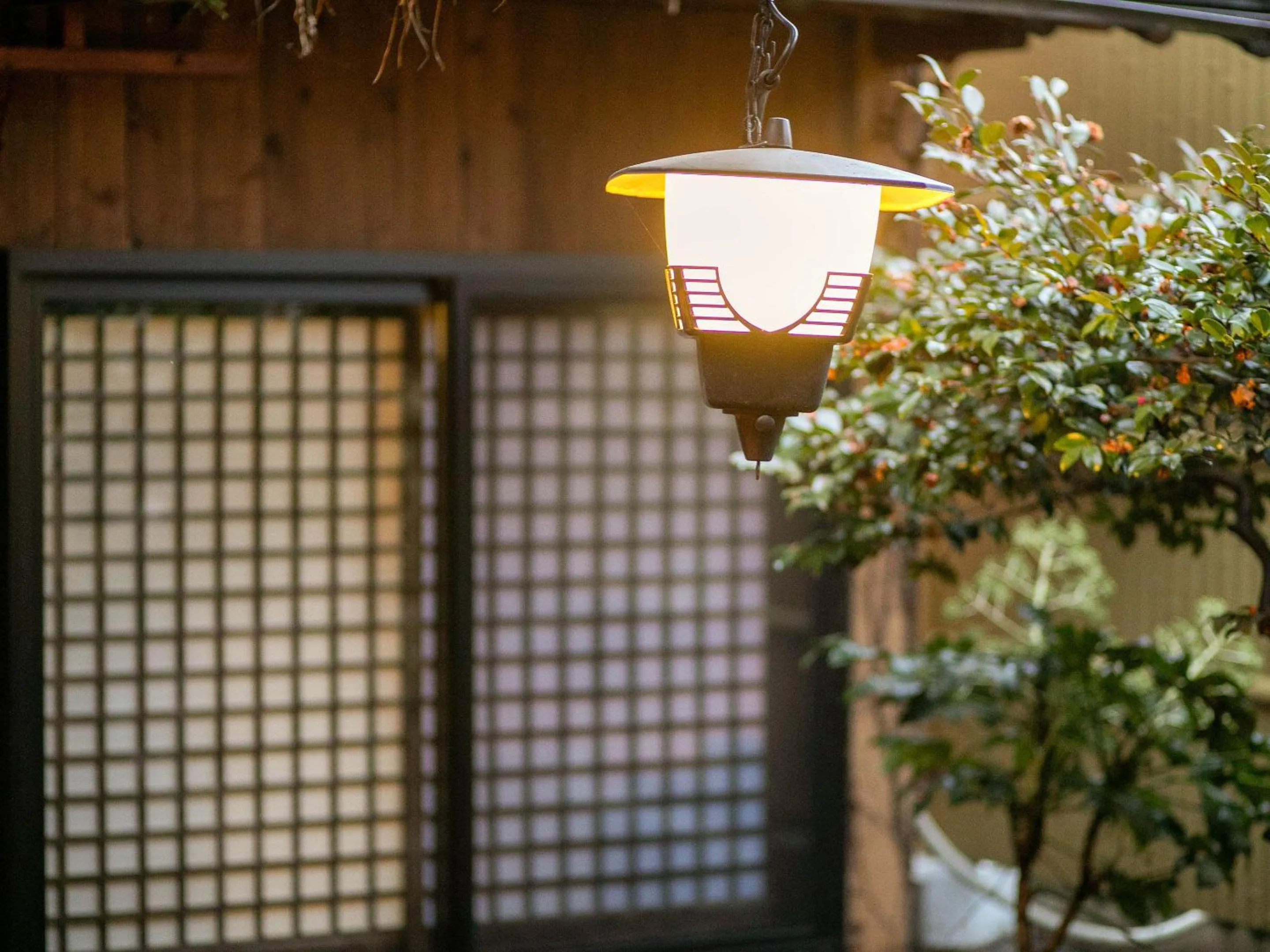 Area and facilities in AsoTsuruya