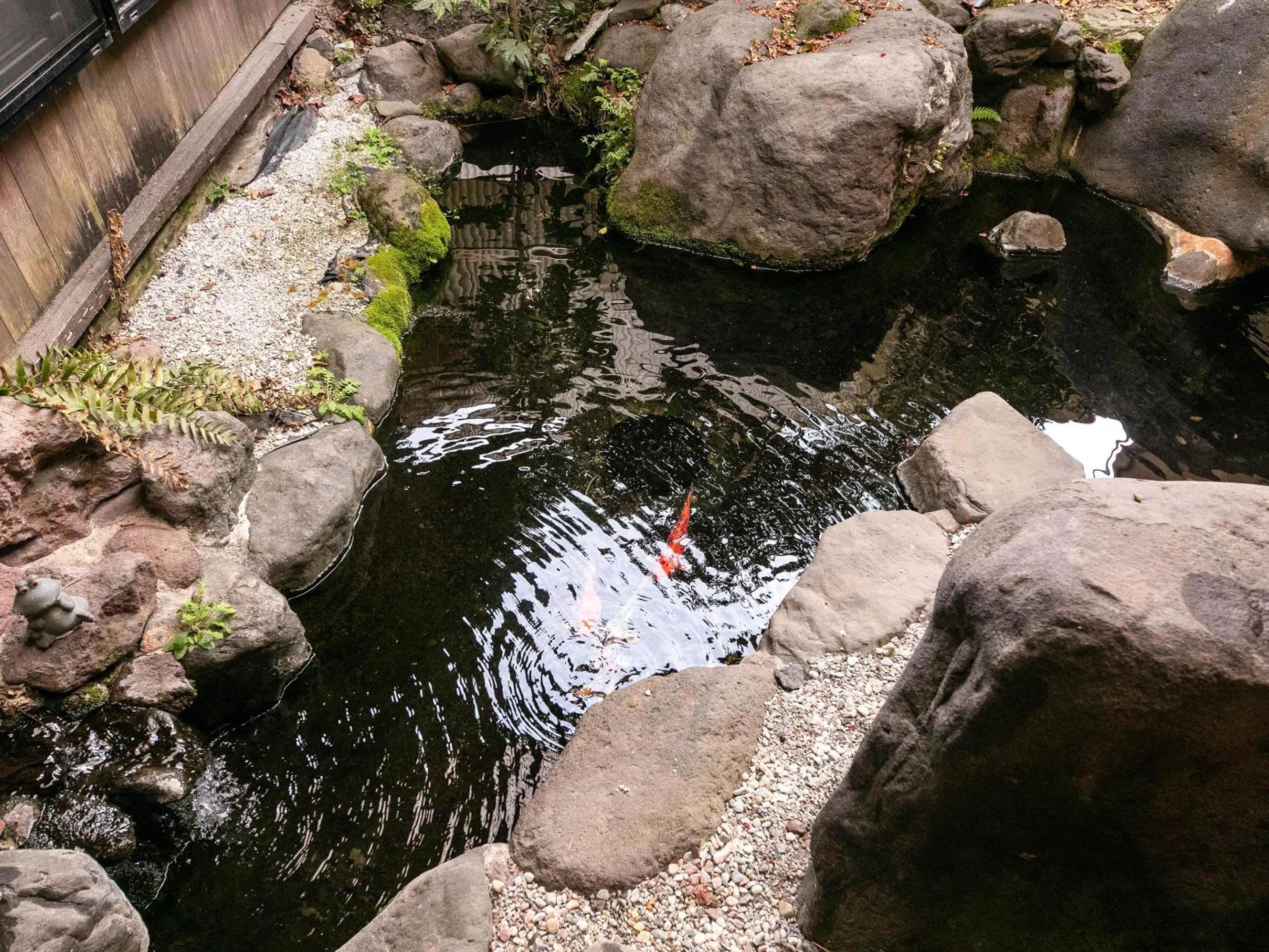 Area and facilities in AsoTsuruya