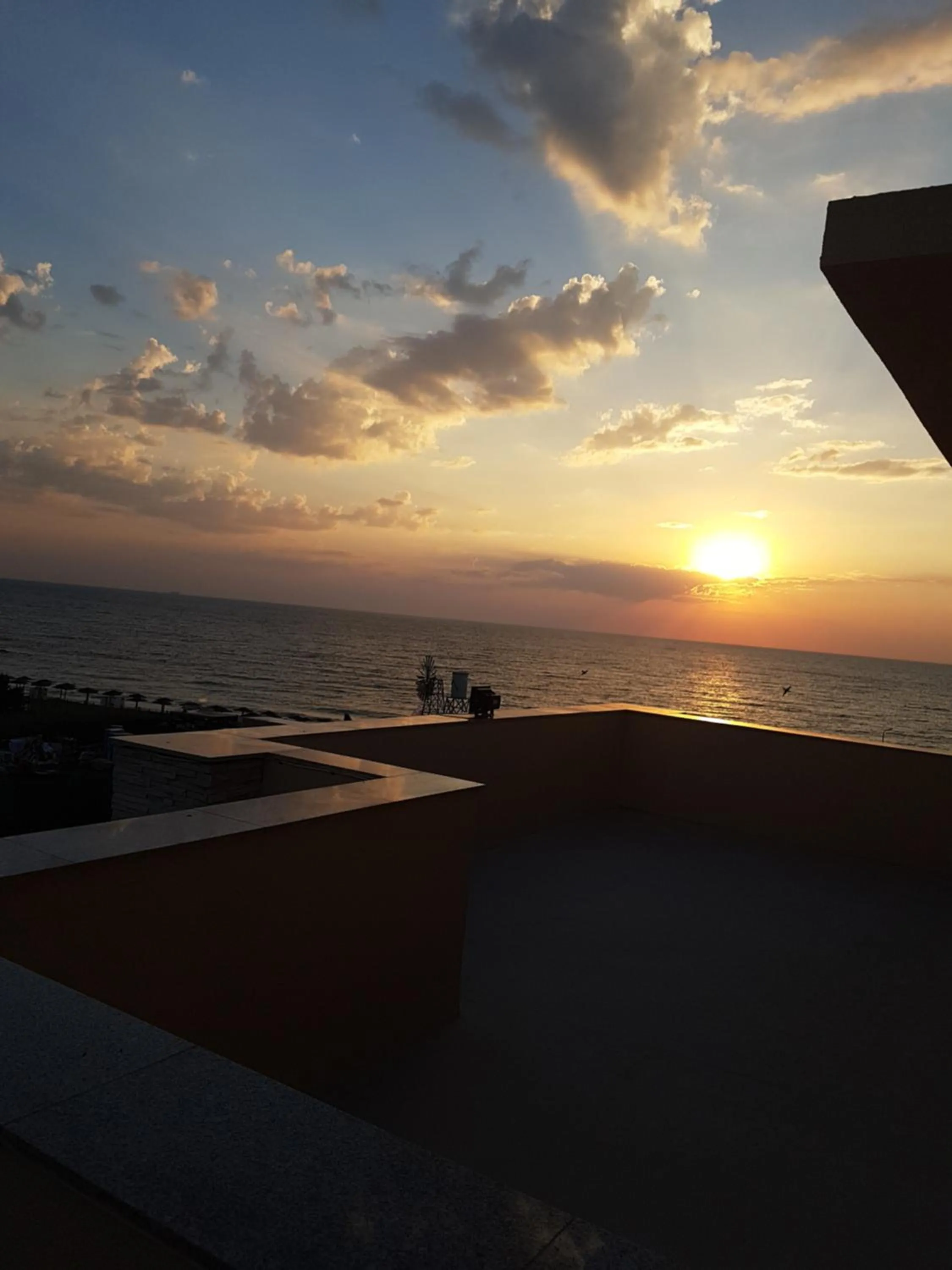 Bird's eye view in Sara