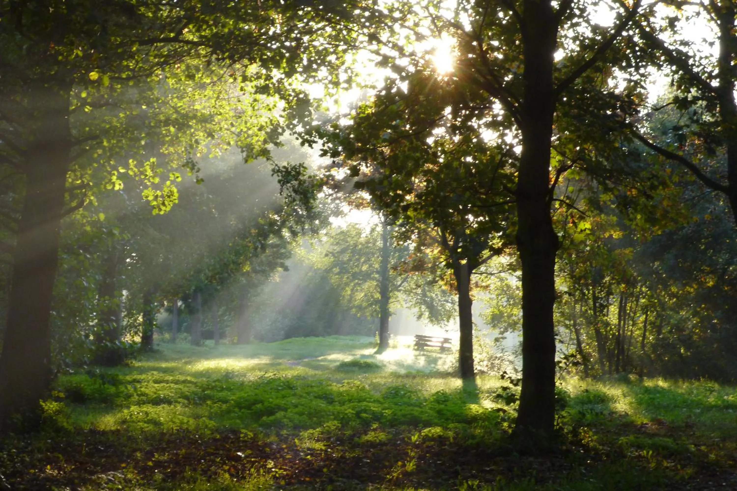 Spring in Hotel Garni Sebastian