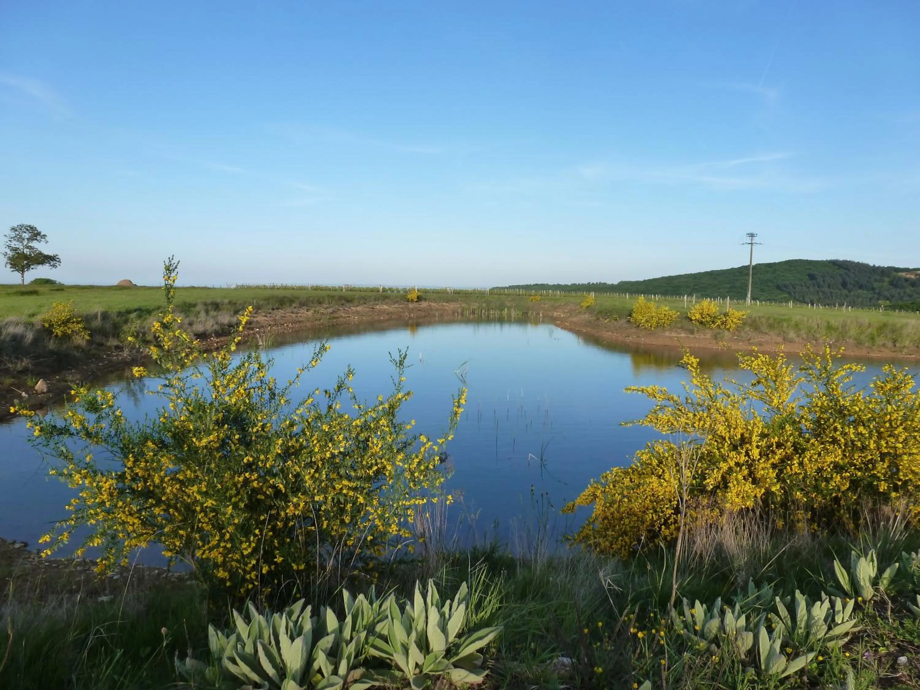Day in Domaine Joseph LAFARGE Wine Resort Oeno-tonneaux expérience