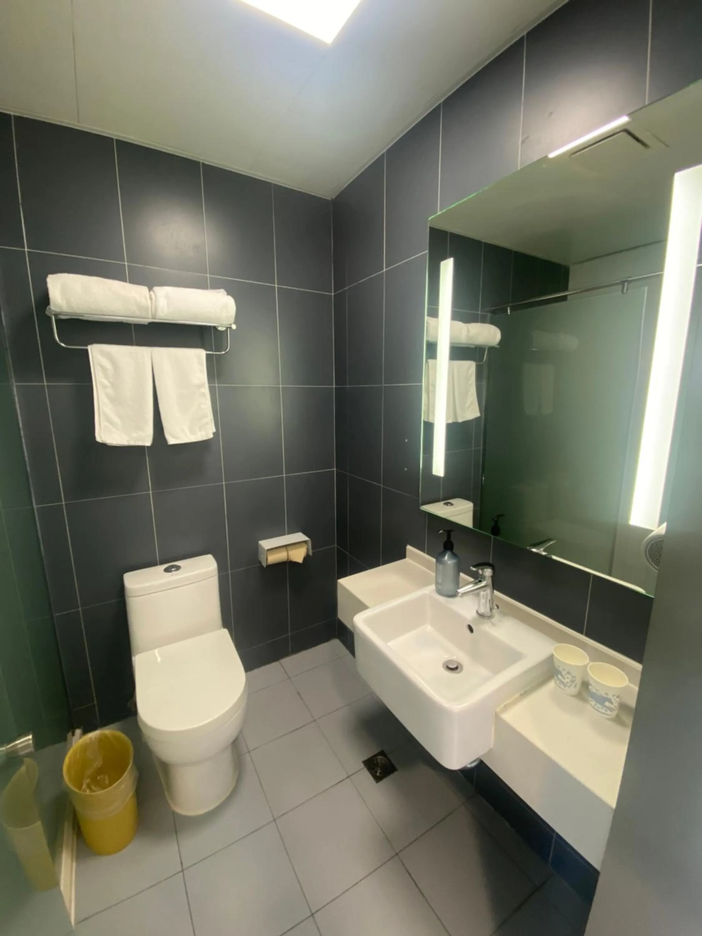 Hanting Hotel Shanghai International Tourism Resort