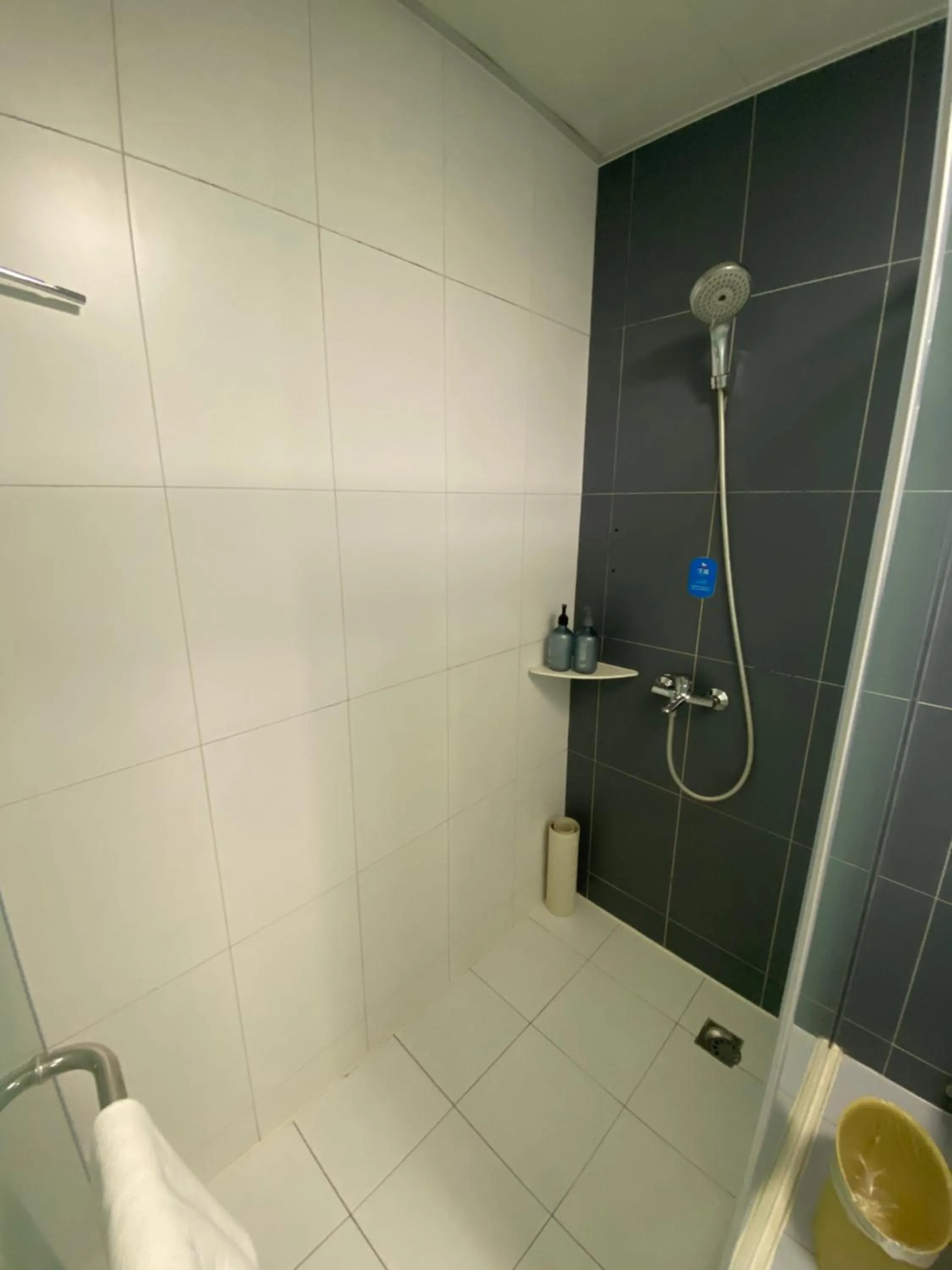 Hanting Hotel Shanghai International Tourism Resort