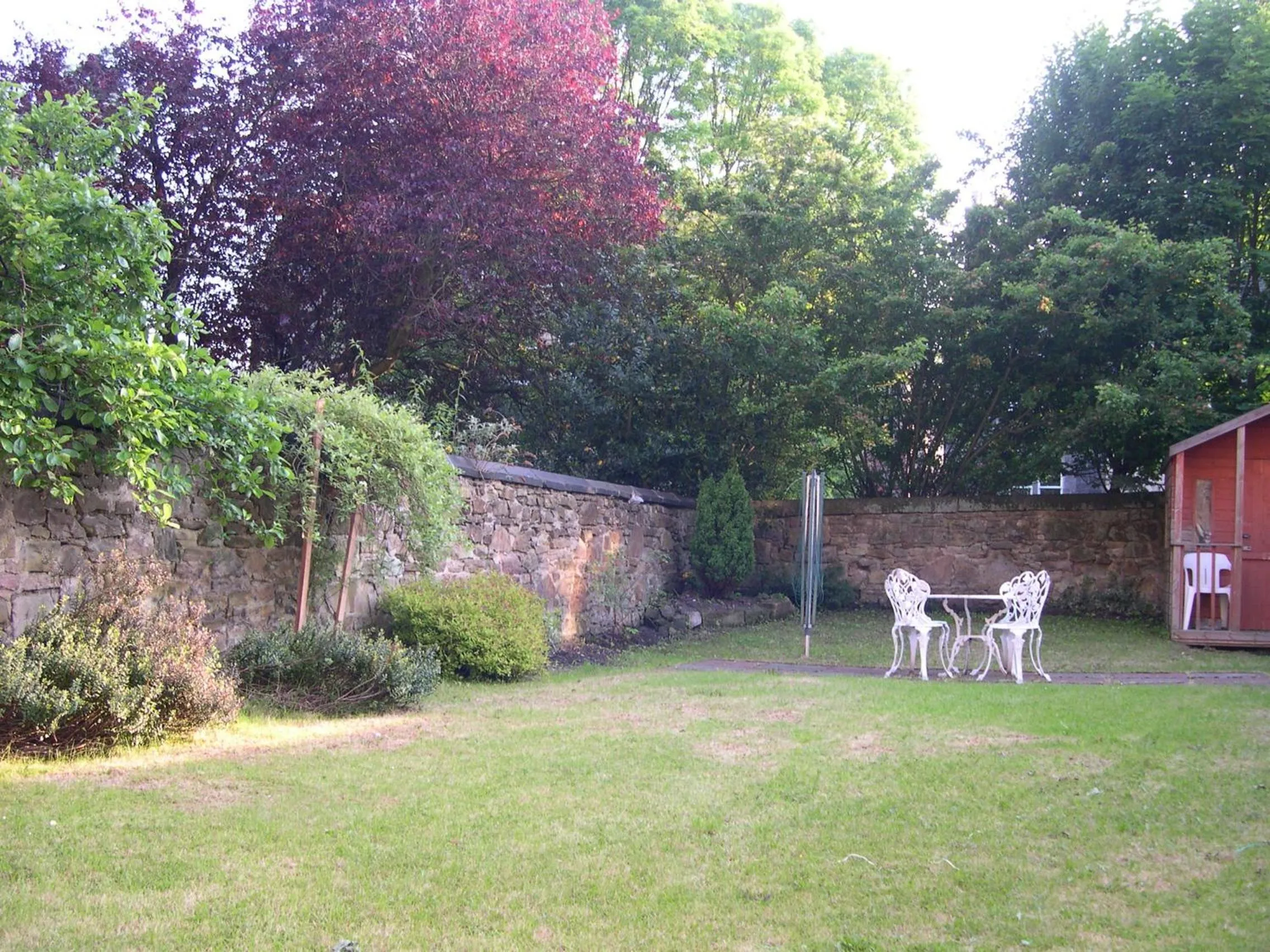 Garden view in Arrandale Guest House