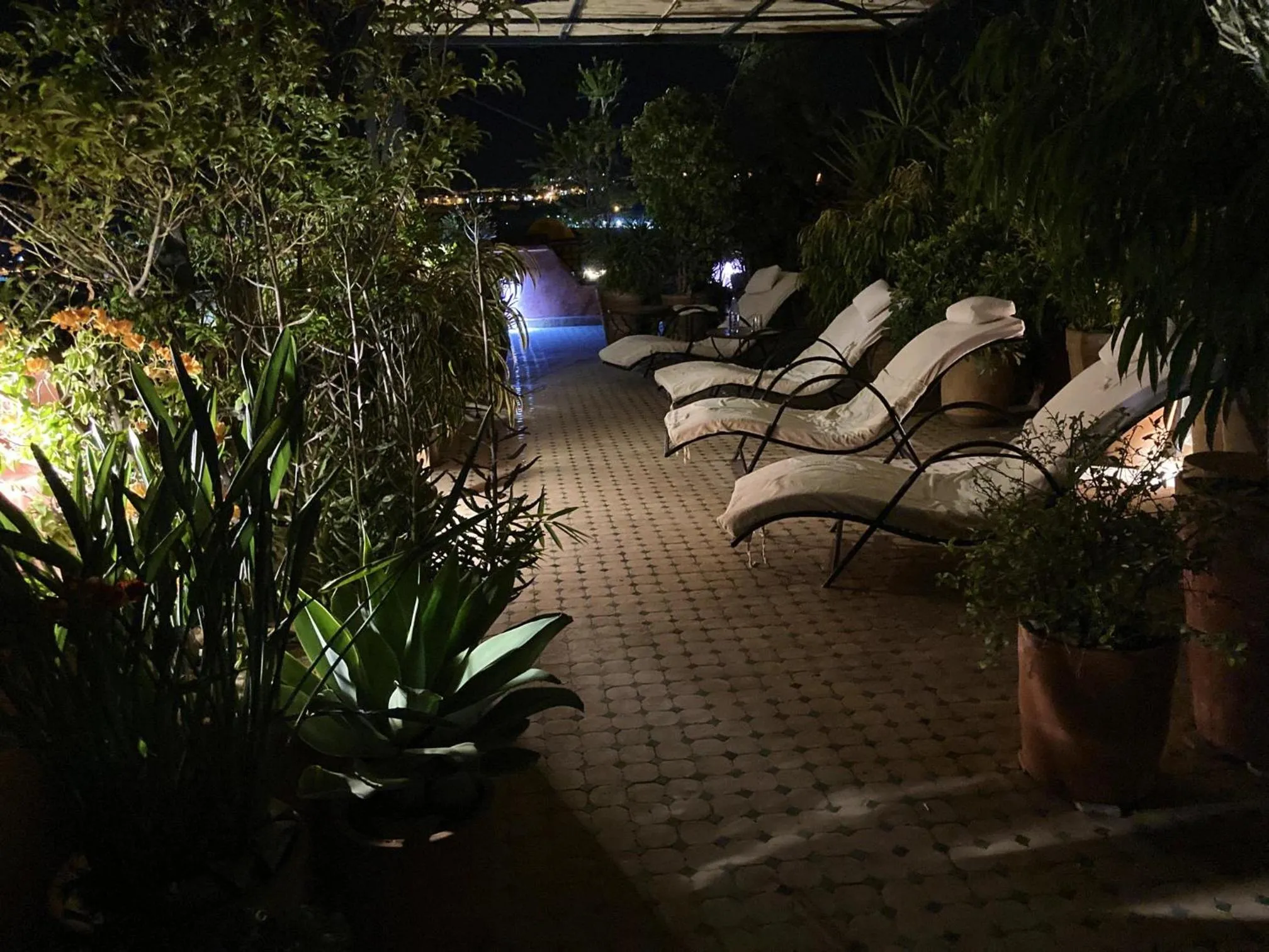 Patio in Riad Toyour- Riad of birds