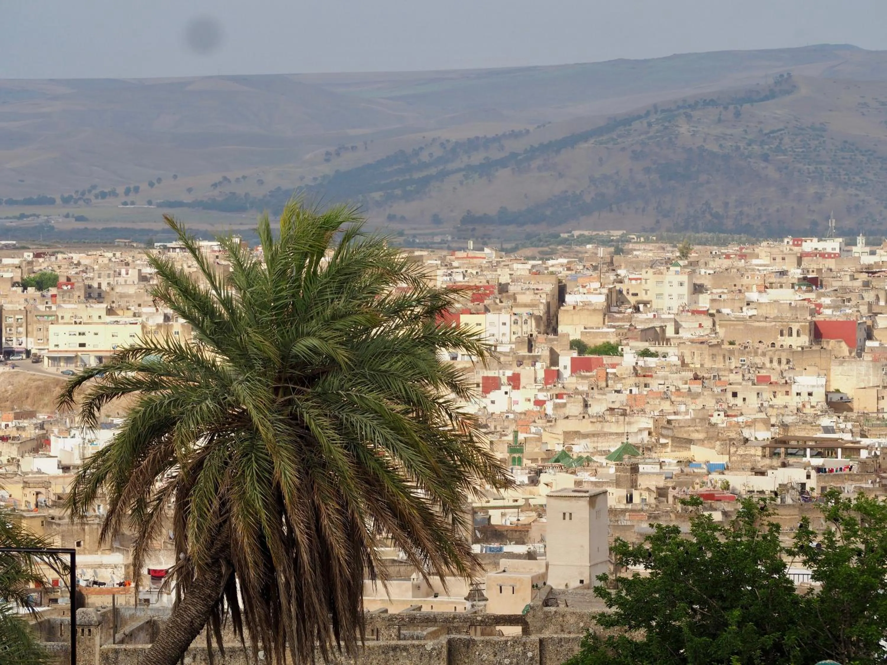City view in Riad Toyour- Riad of birds
