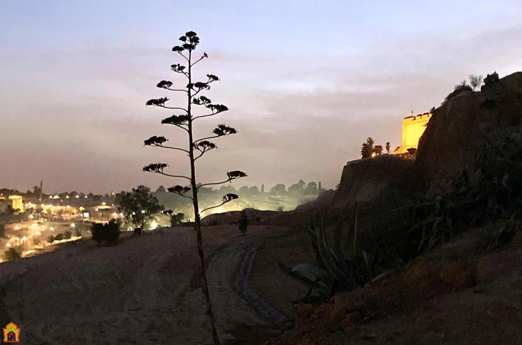 Patio in Riad Toyour- Riad of birds