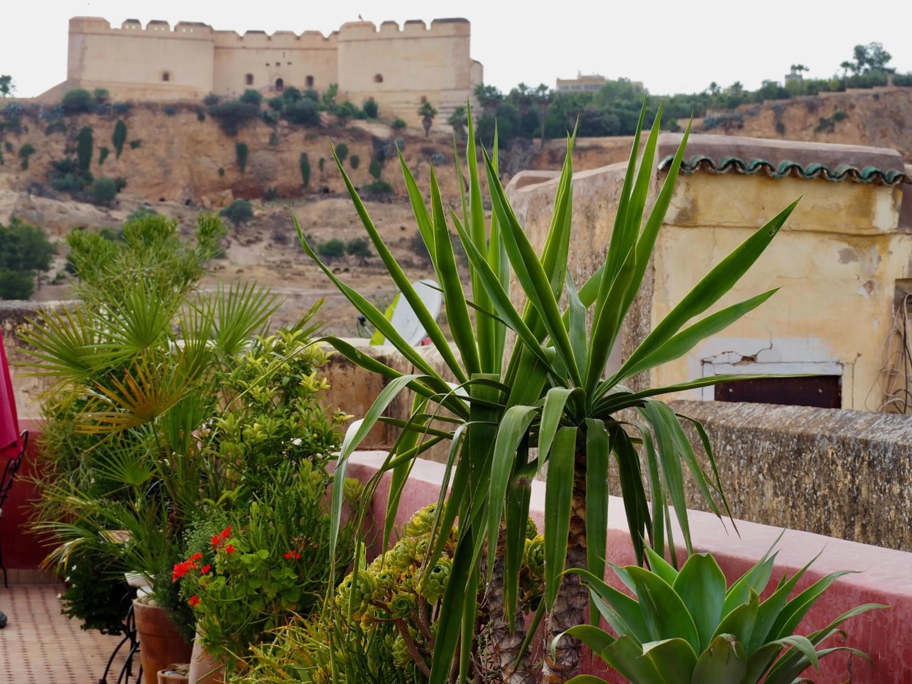 City view in Riad Toyour- Riad of birds