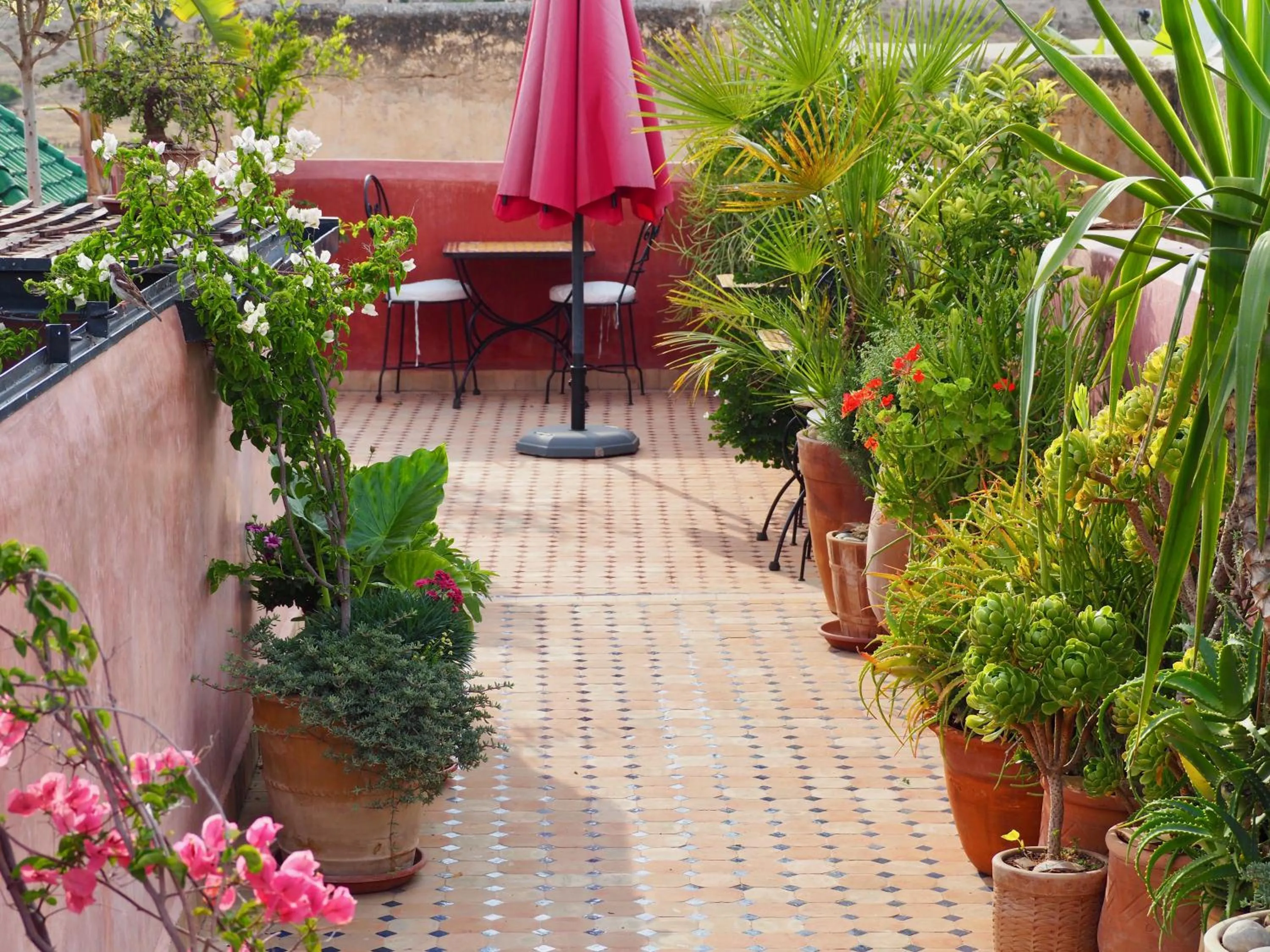 Garden view in Riad Toyour- Riad of birds