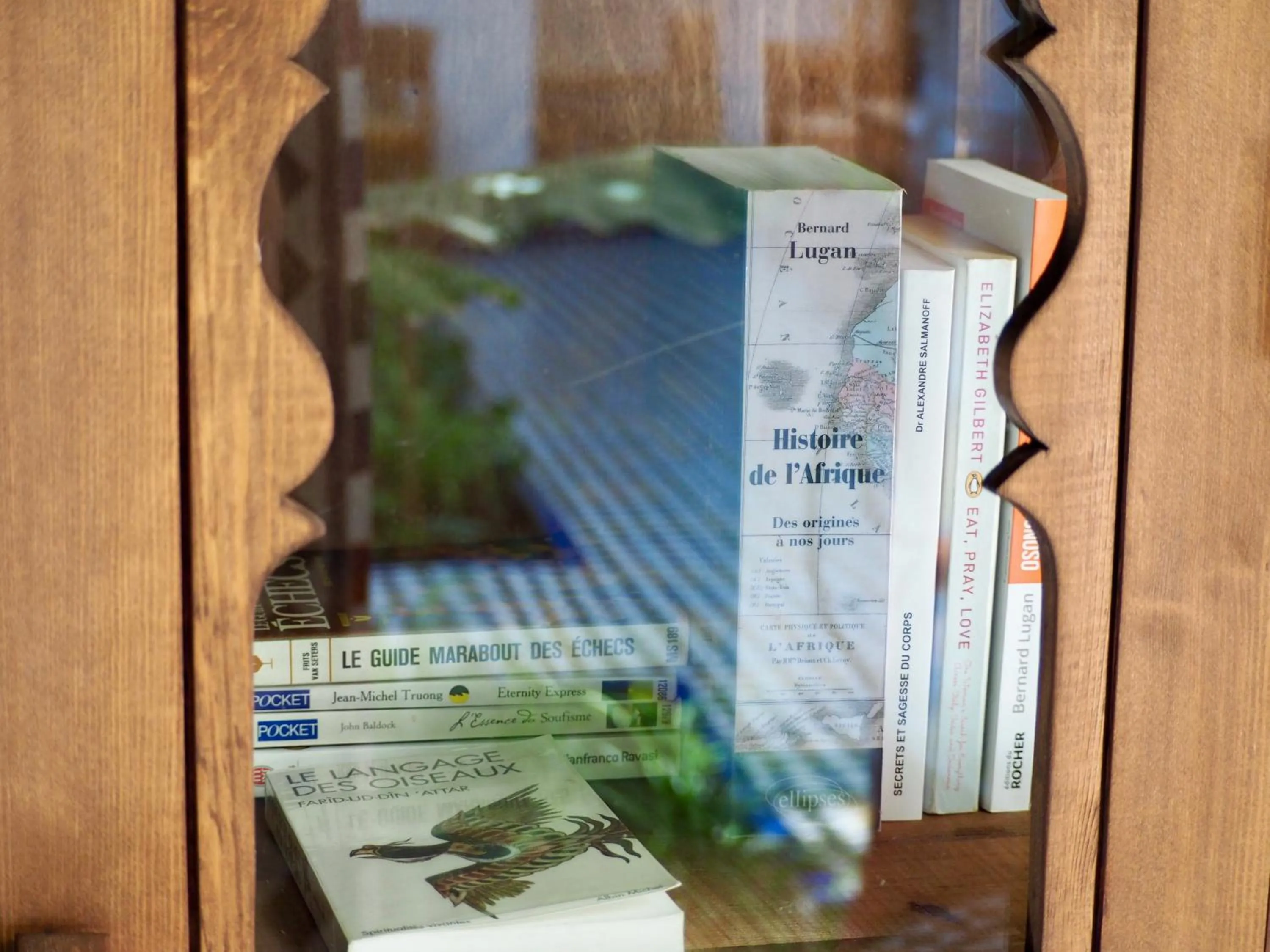 Library in Riad Toyour- Riad of birds