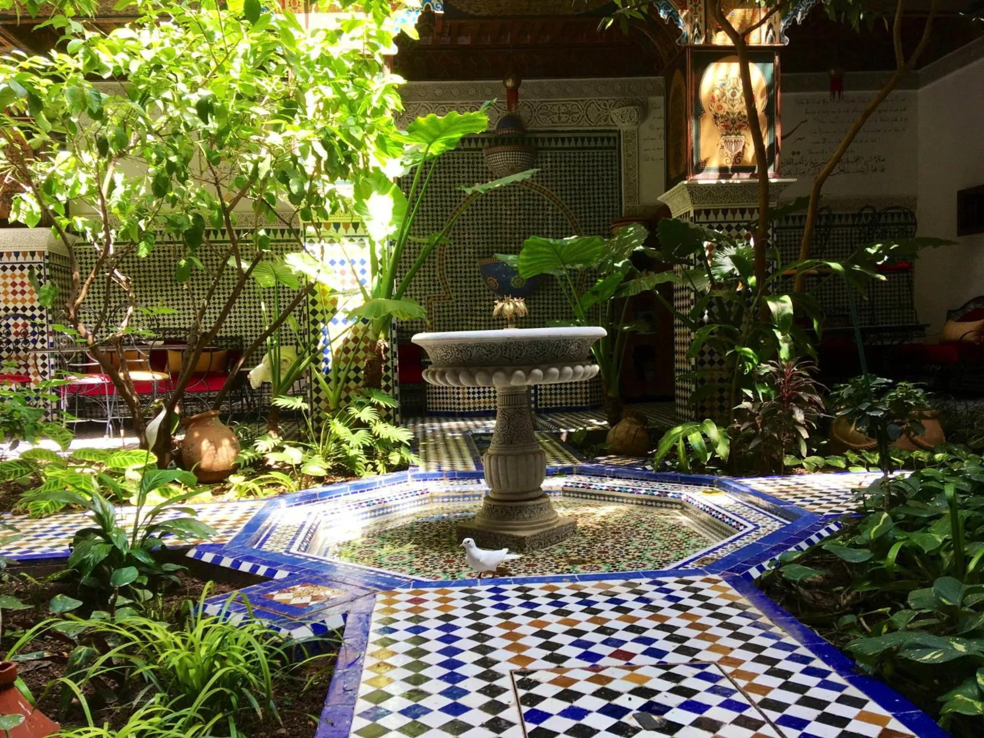Patio in Riad Toyour- Riad of birds
