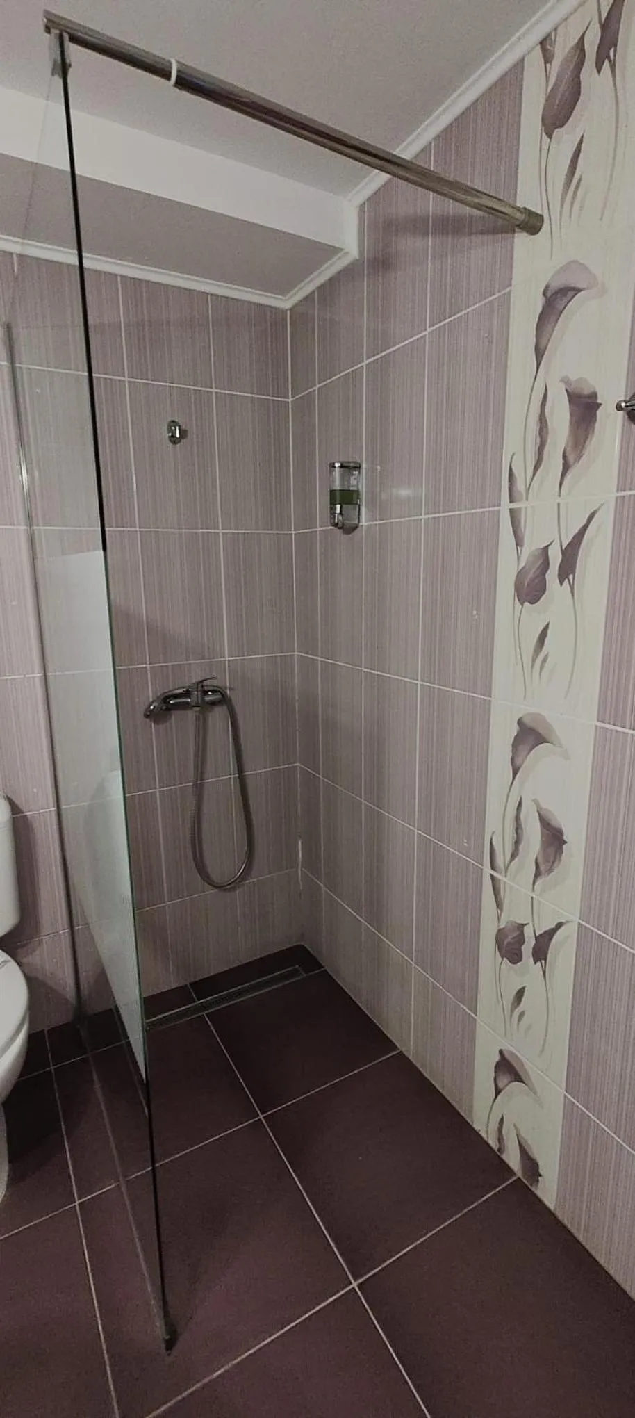 Shower in Pensiunea Casiana