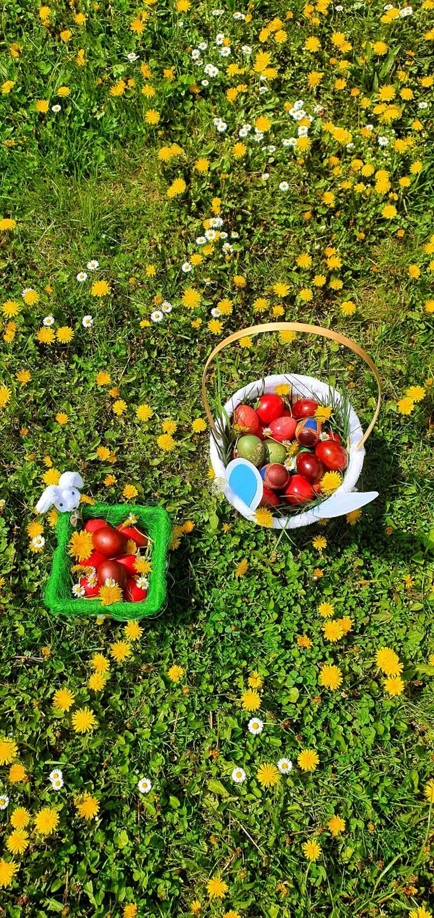 Spring in Pensiunea Casiana