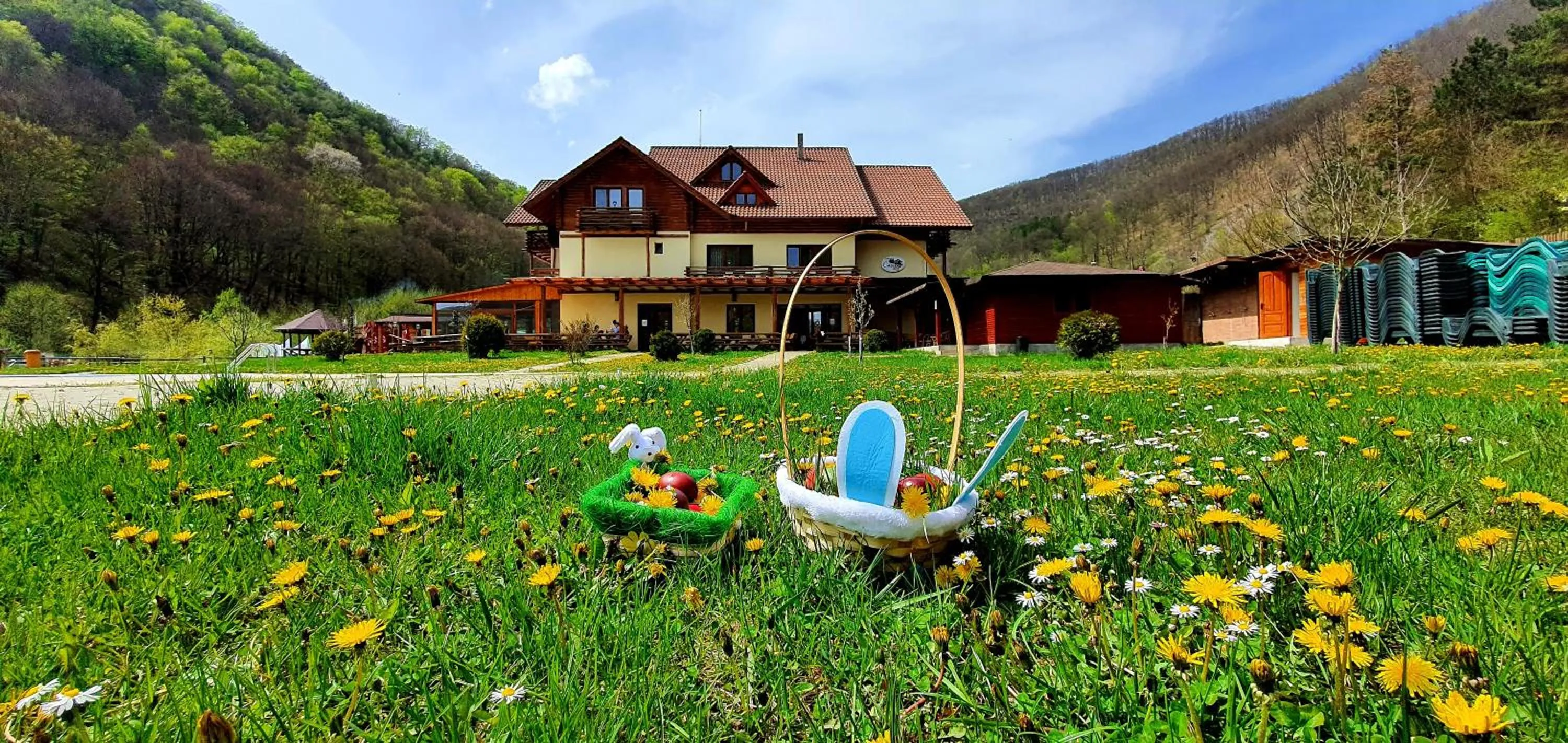 Property building in Pensiunea Casiana