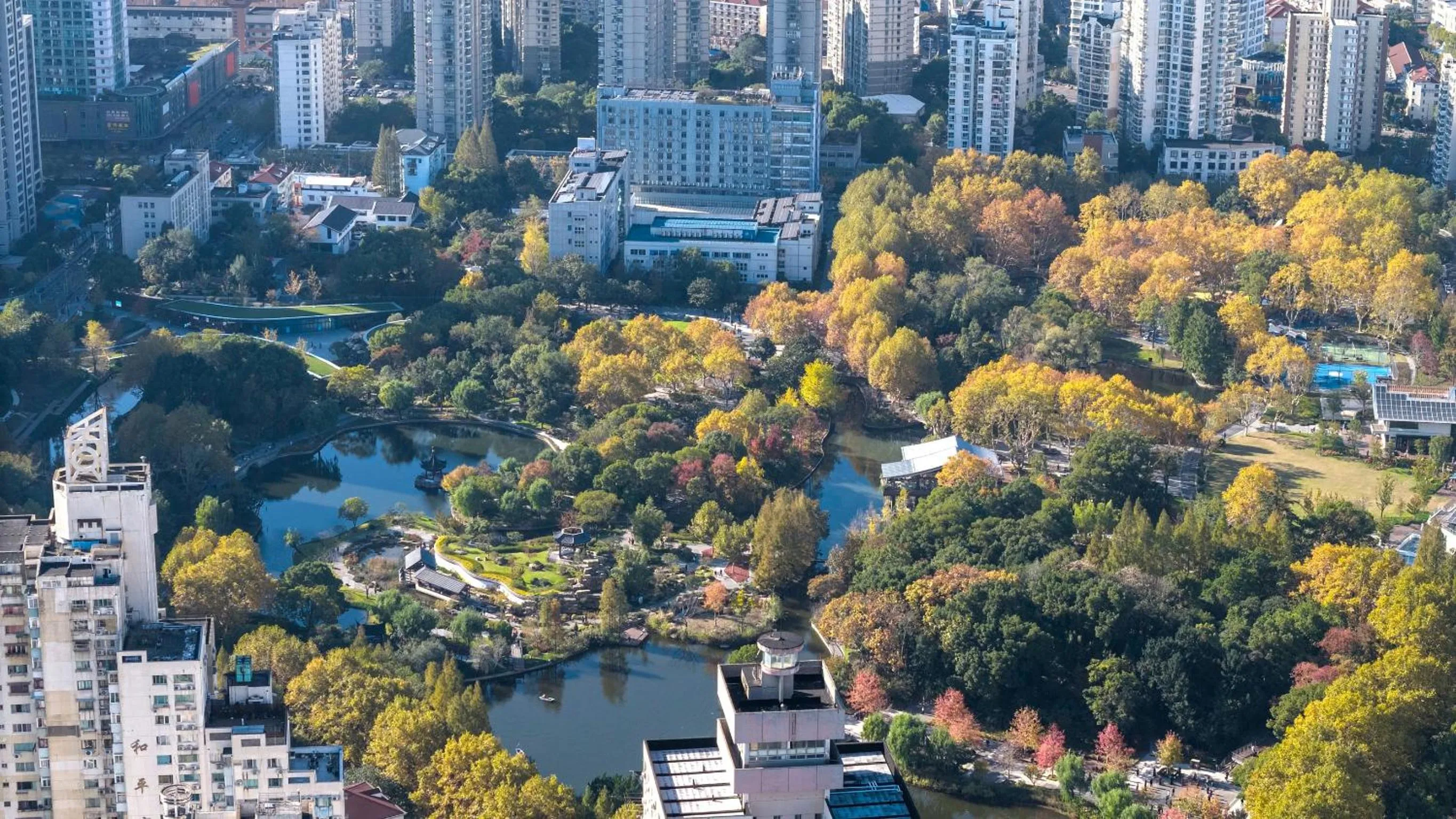 Other in Hanting Hotel Shanghai Tongji University Kongjiang Road