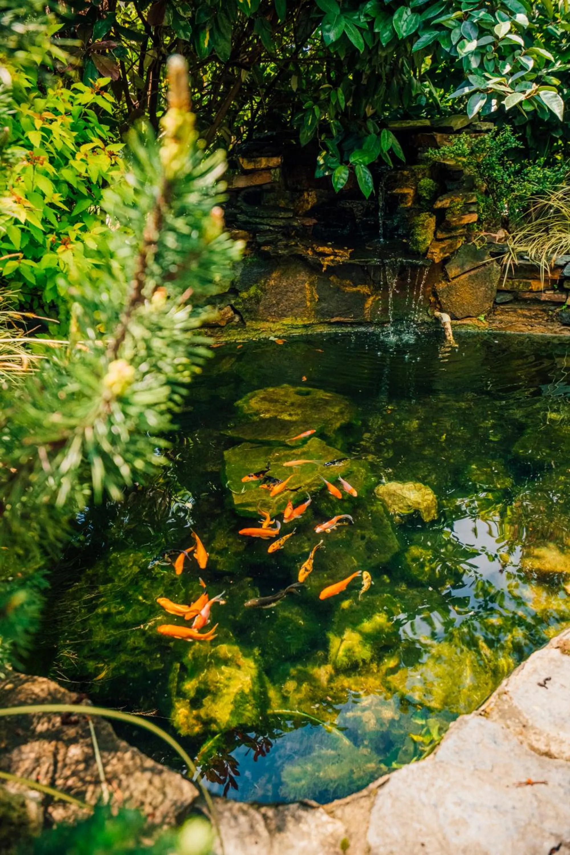 On site in Sapanca Cayir Cimen Otel