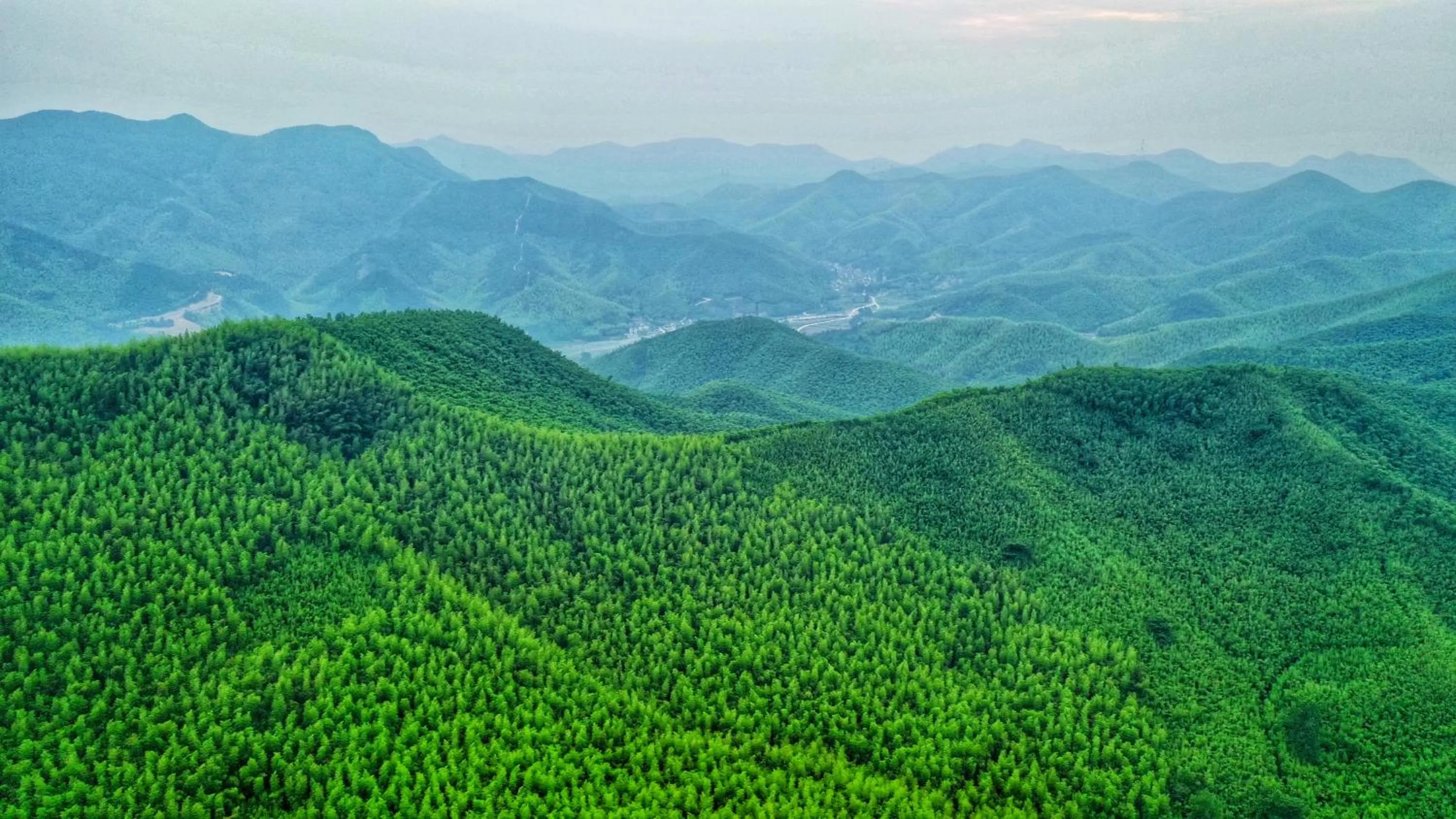 Natural landscape in Moganshan Pinhouwu Hotel