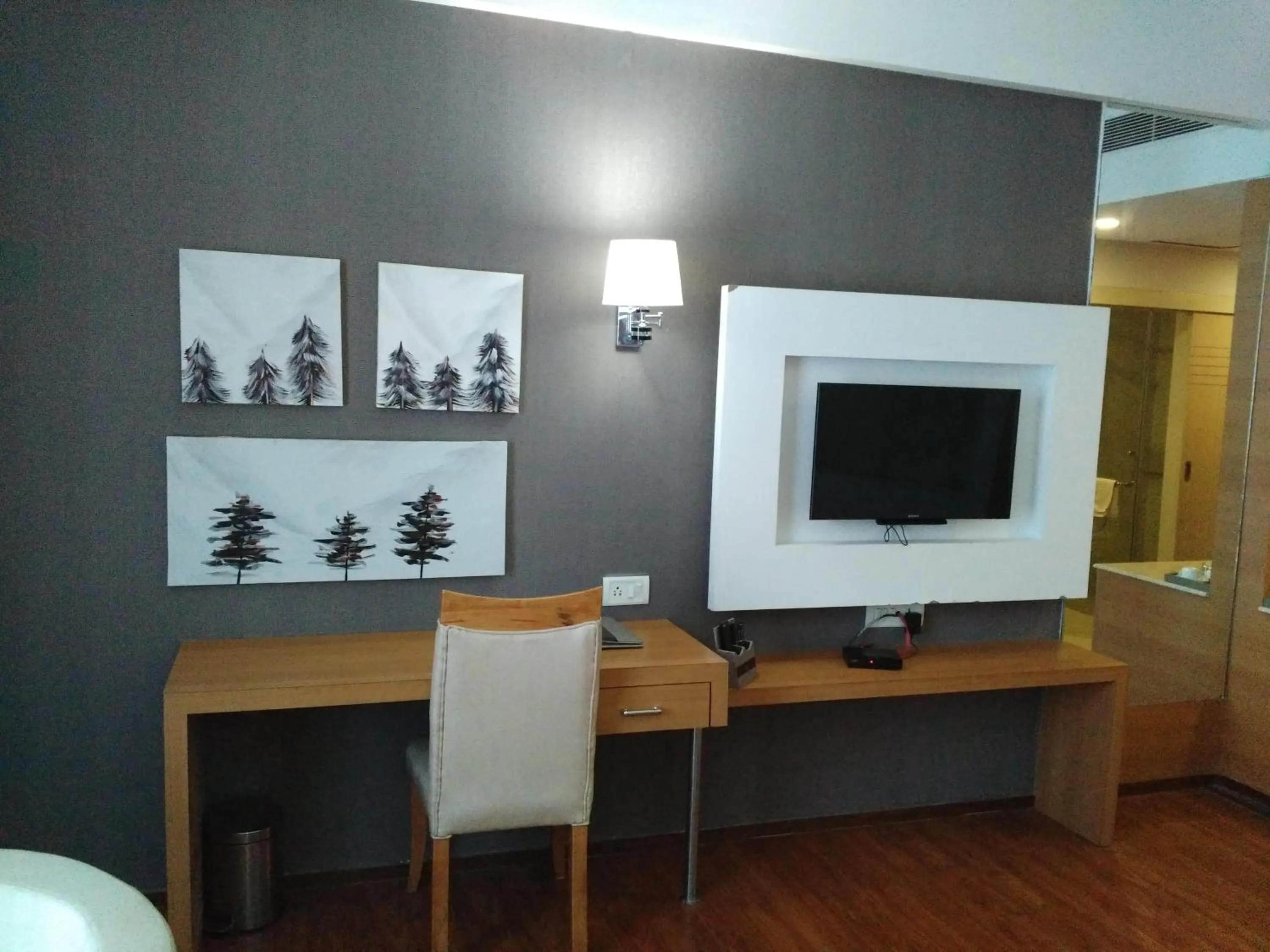 TV and multimedia in Maha Bodhi Hotel.Resort.Convention Centre