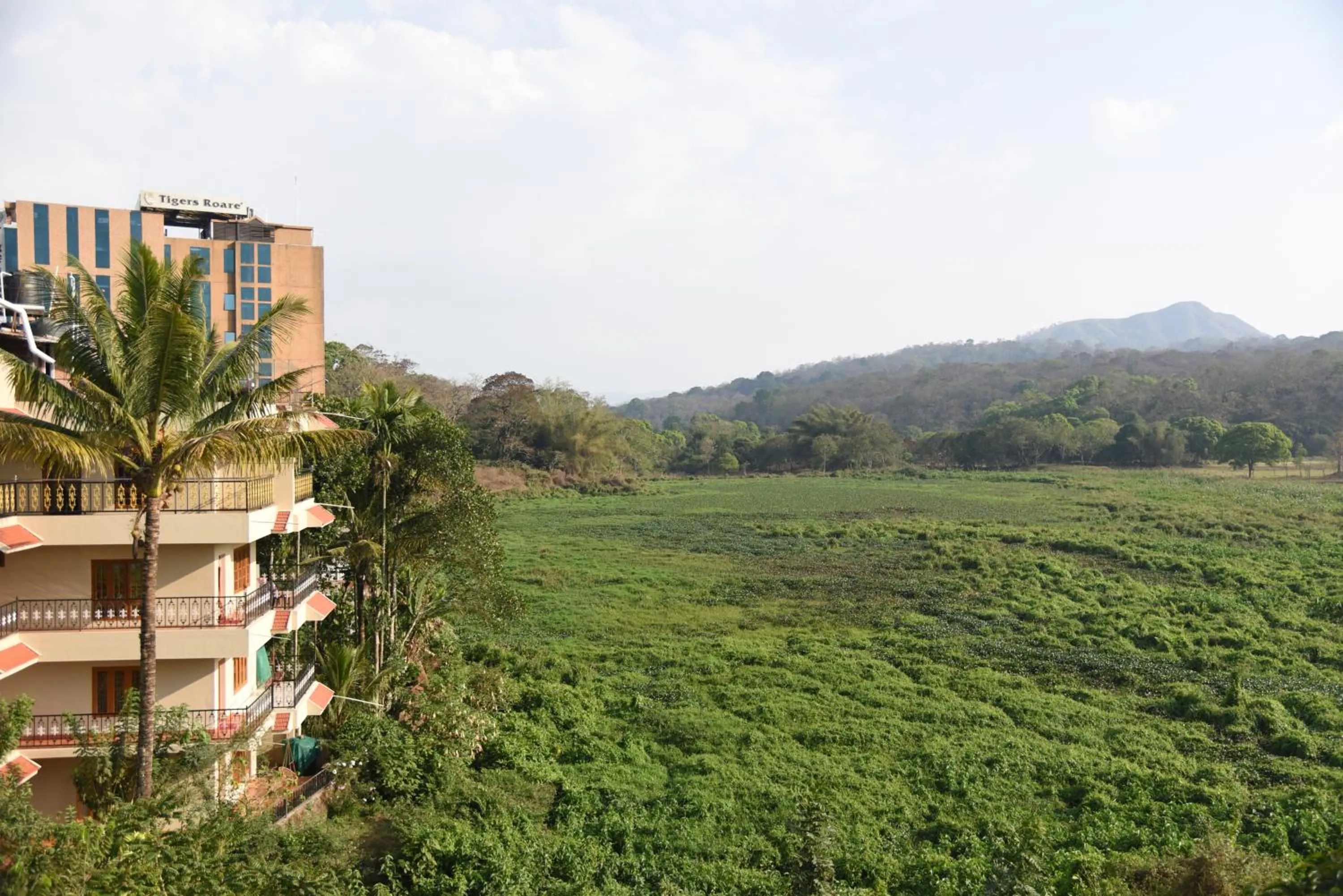 Property building in Jungle Palace Homestay