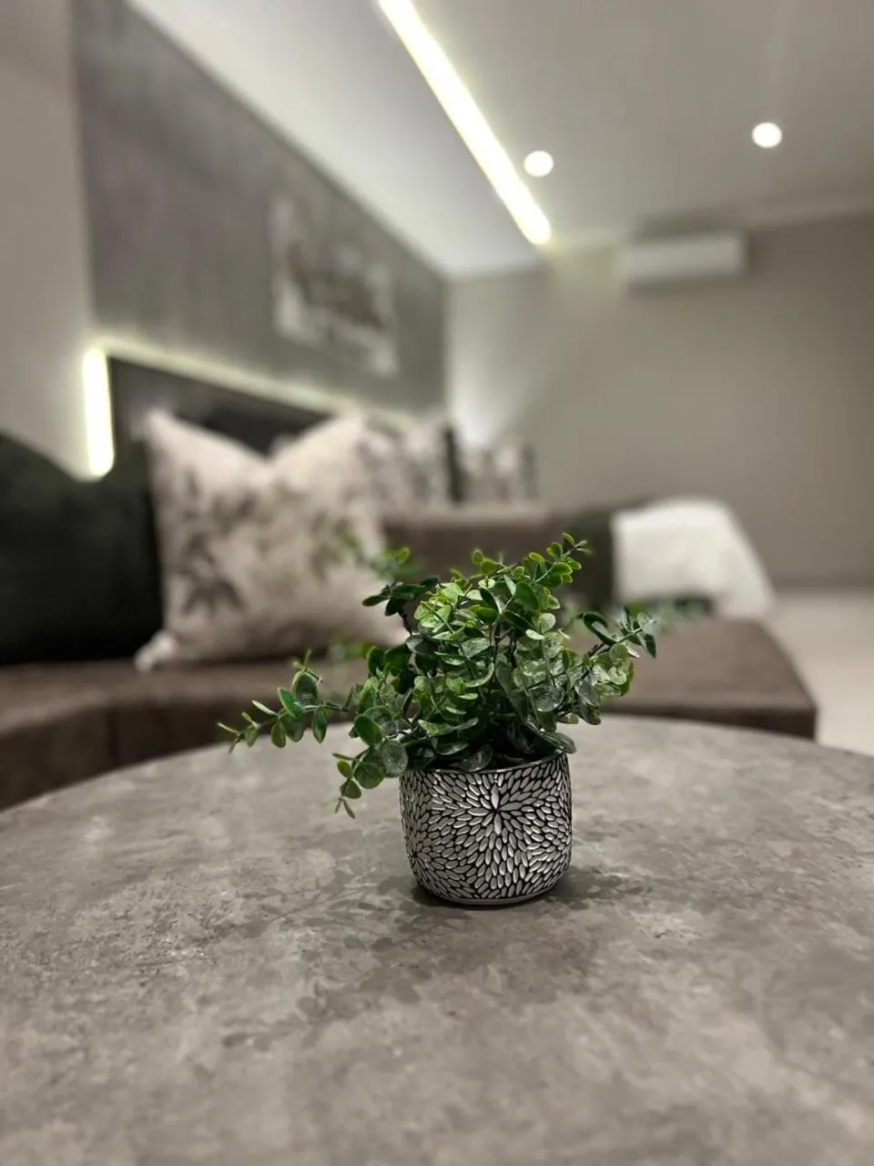 Seating area, Bed in The Cycad Lodge & Chalets