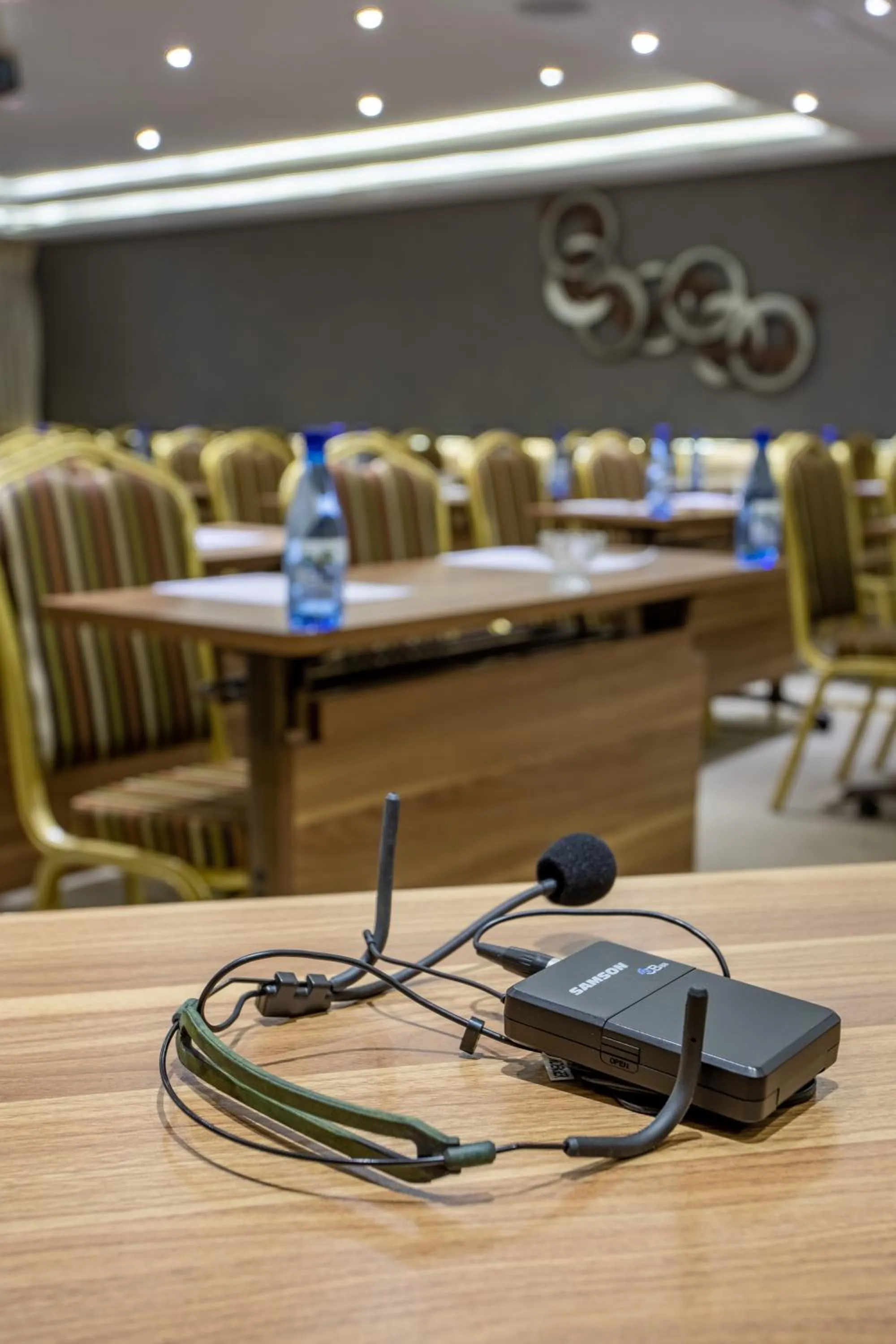 Meeting/conference room in The Cycad Lodge & Chalets