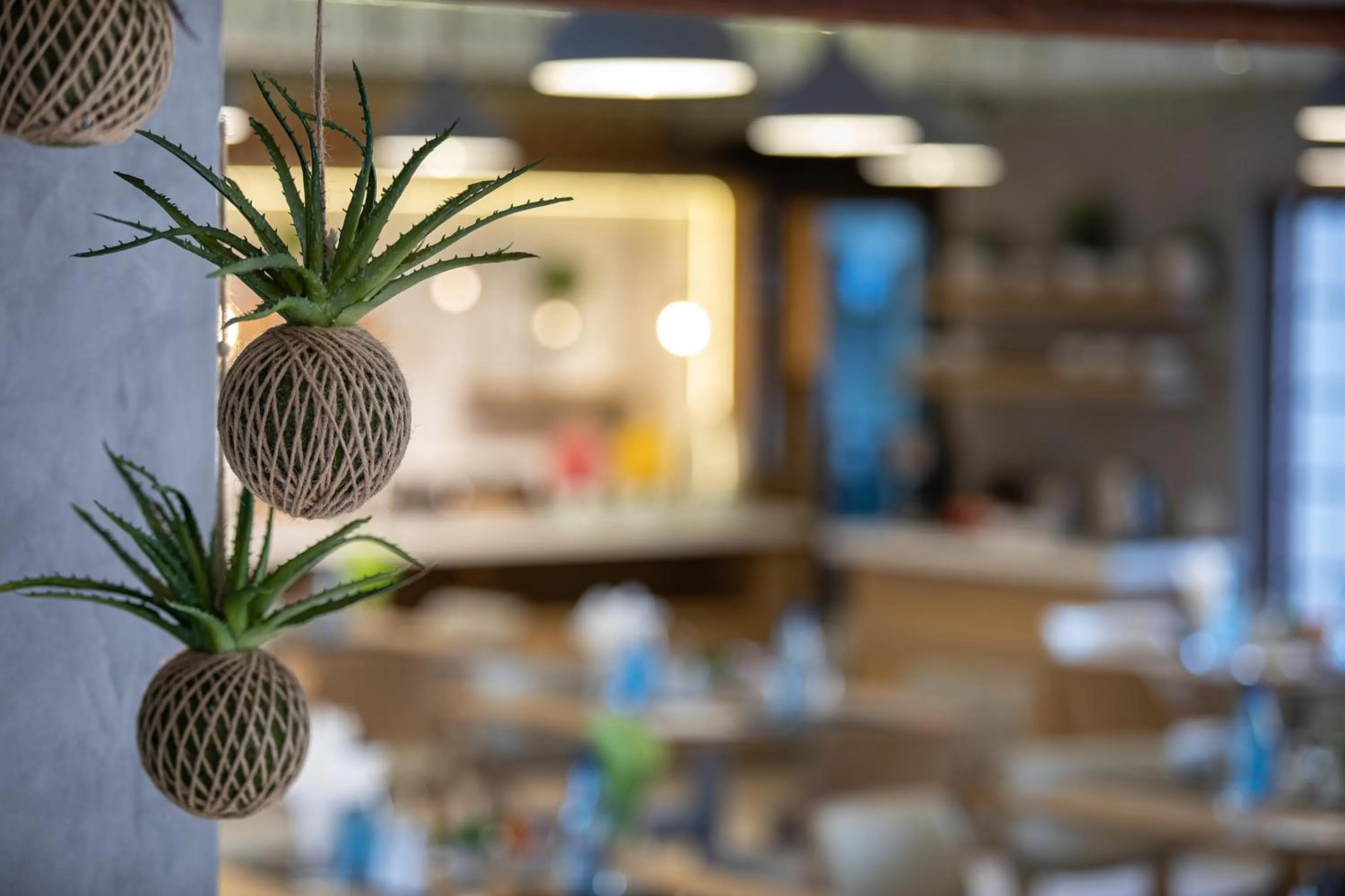 Lobby or reception in The Cycad Lodge & Chalets