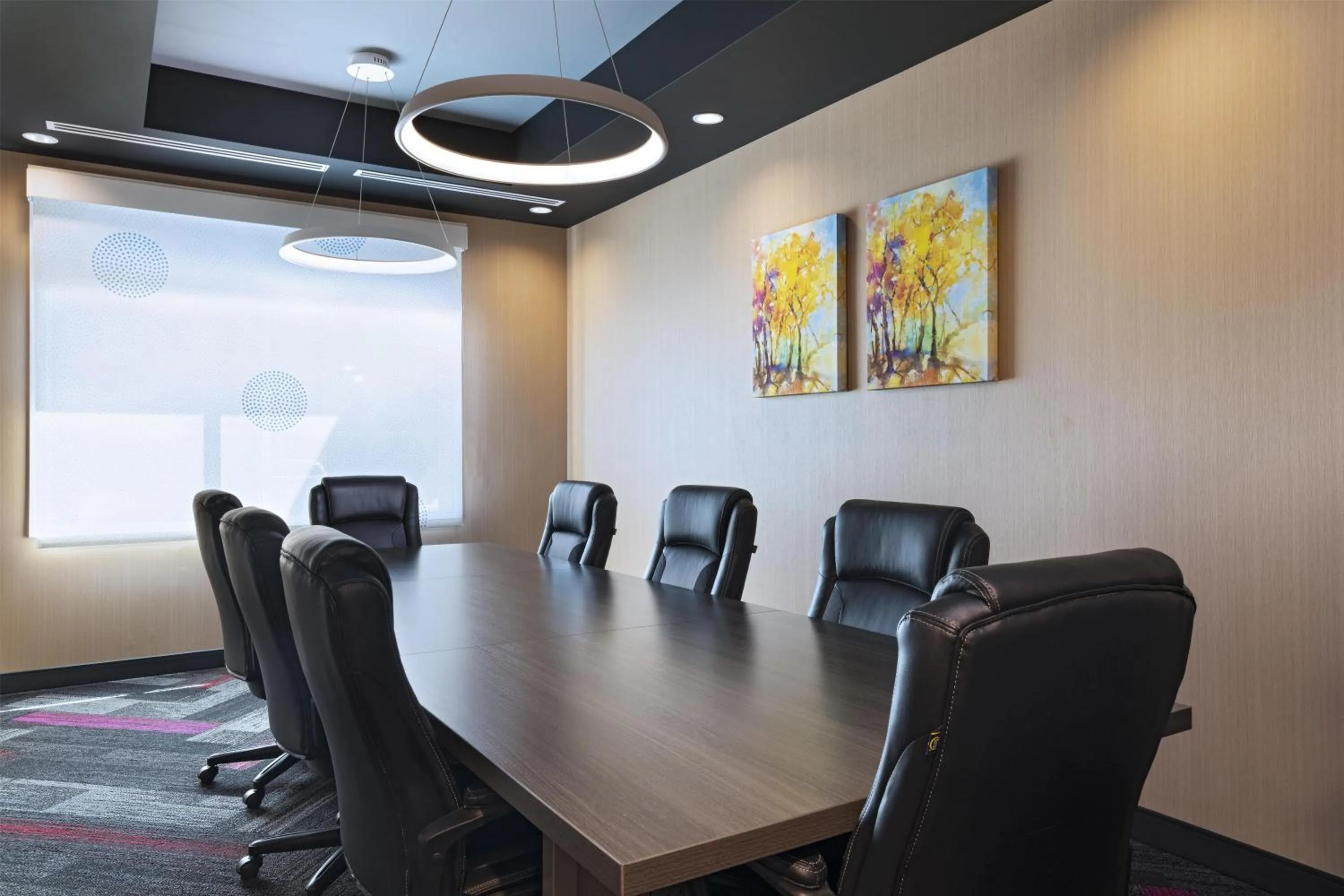 Meeting/conference room in Tru By Hilton Irving Dfw South