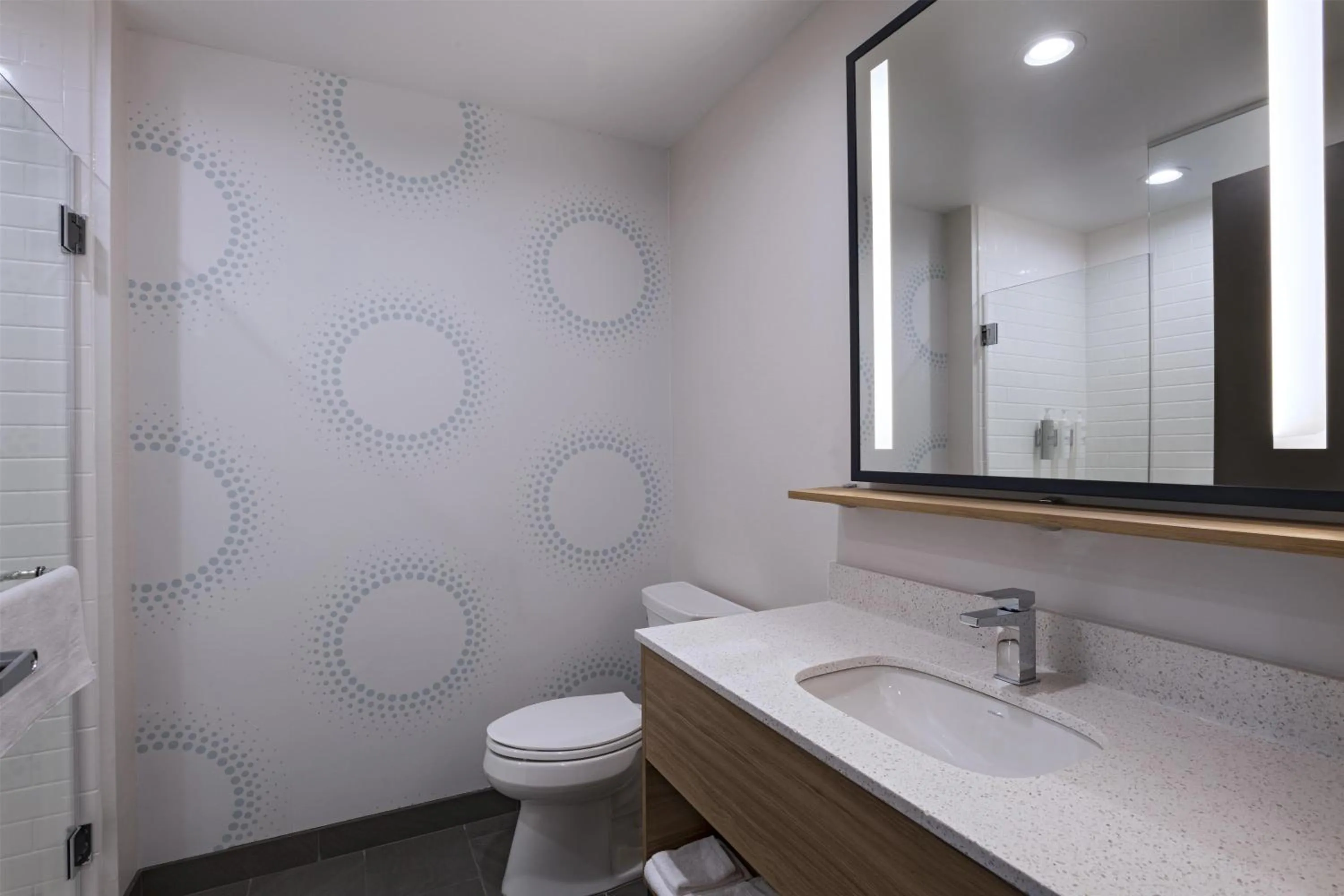 Bathroom in Tru By Hilton Irving Dfw South