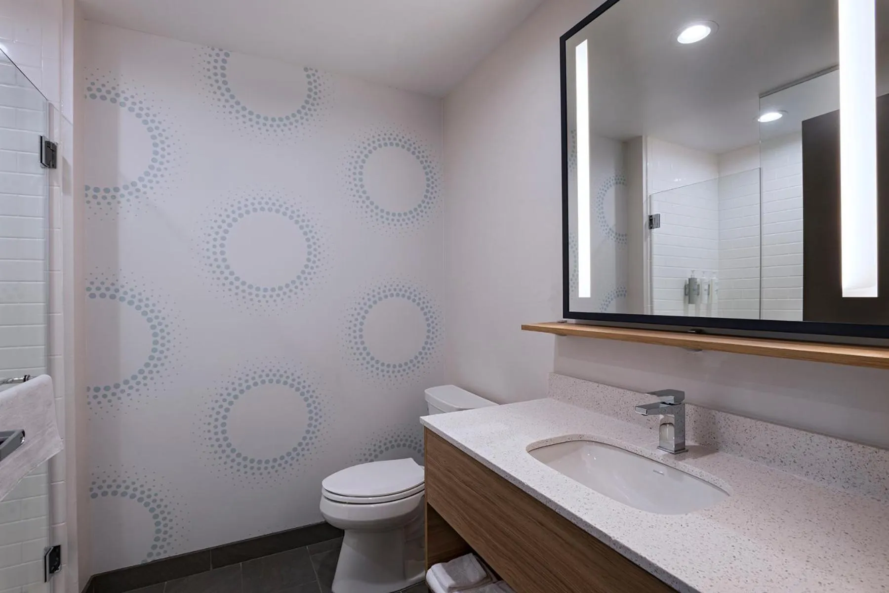 Bathroom in Tru By Hilton Irving Dfw South