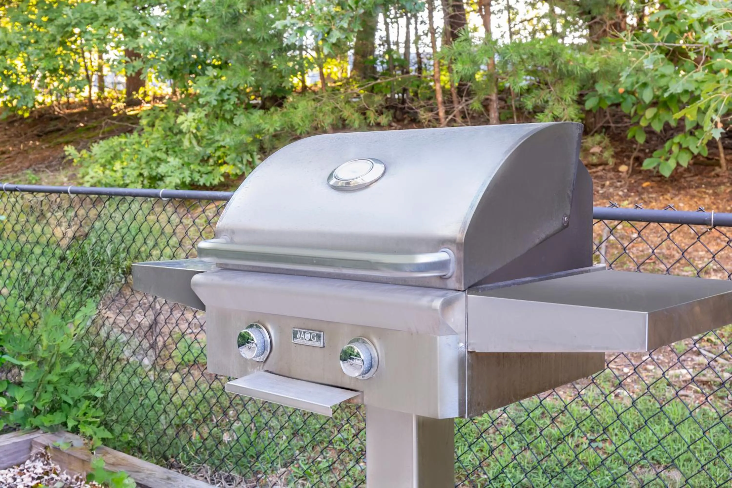 Activities in Hilton Vacation Club Laurel Crest Pigeon Forge