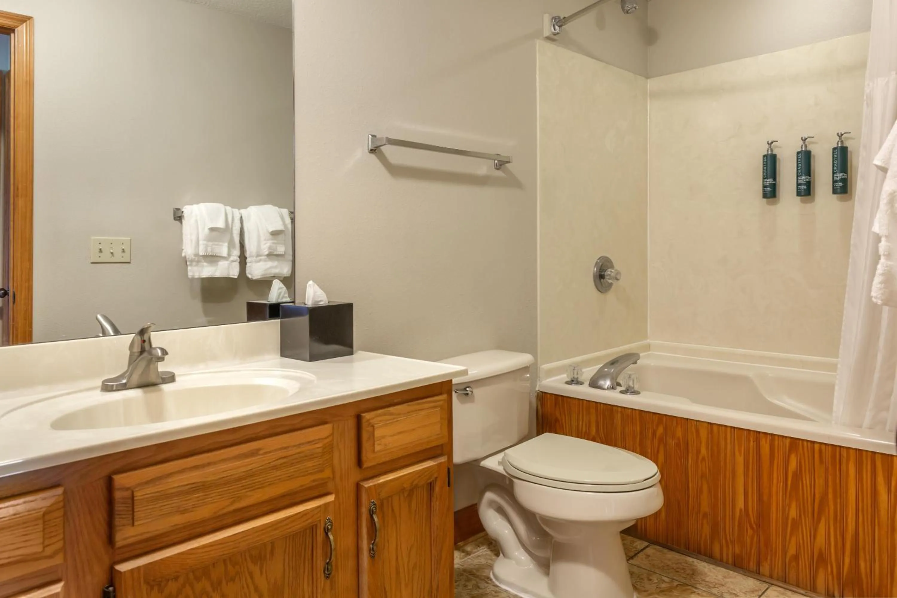 Bathroom in Hilton Vacation Club Laurel Crest Pigeon Forge