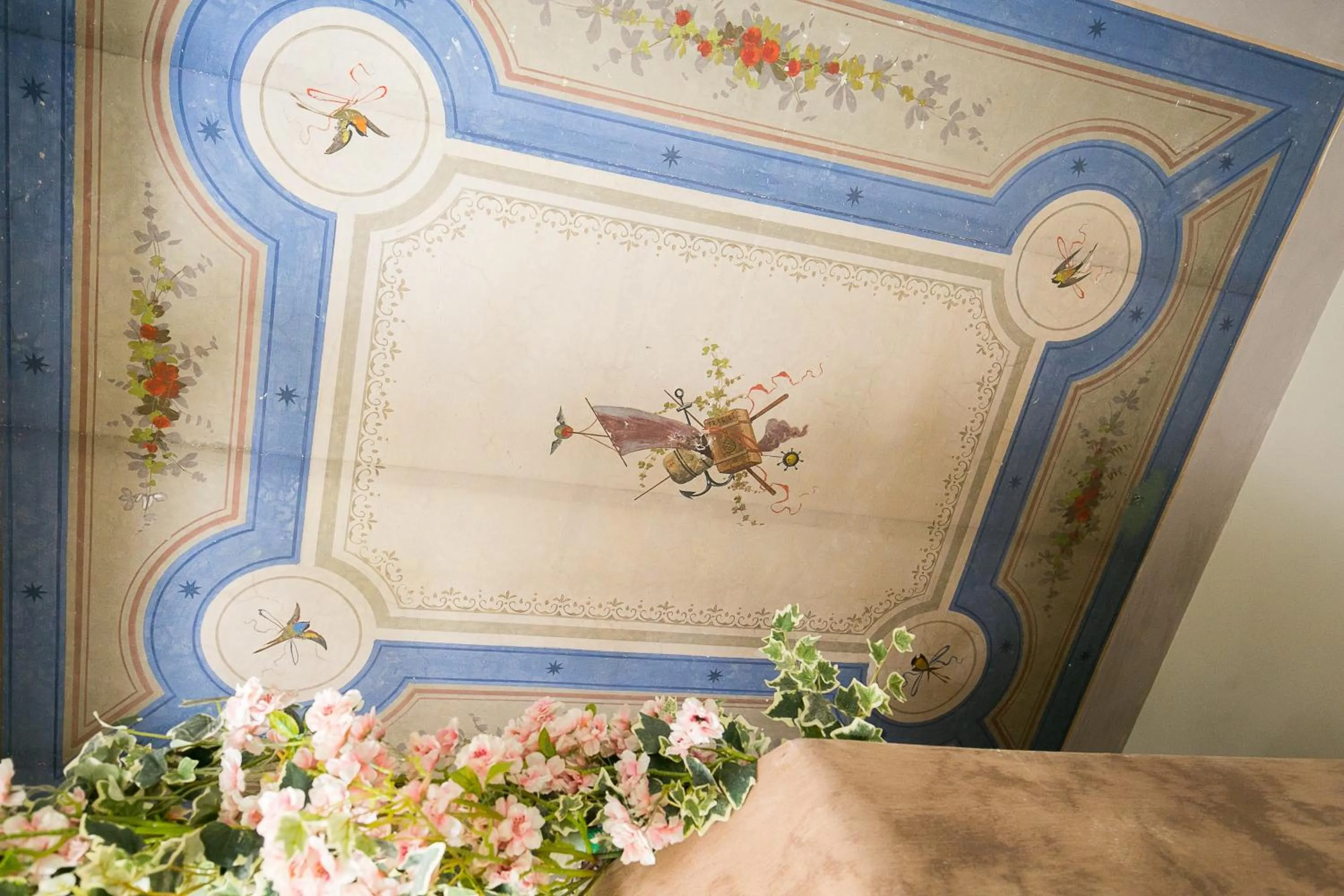 Other in Nerva Accommodation Cavour