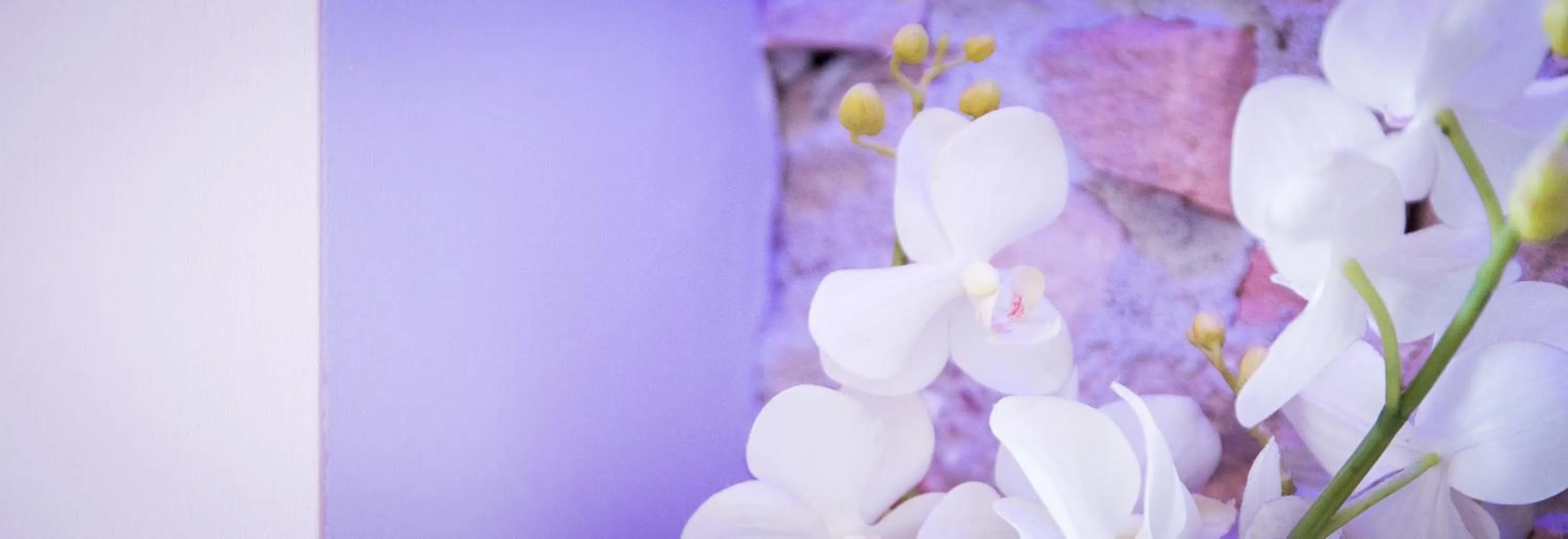 Other in Nerva Accommodation Cavour