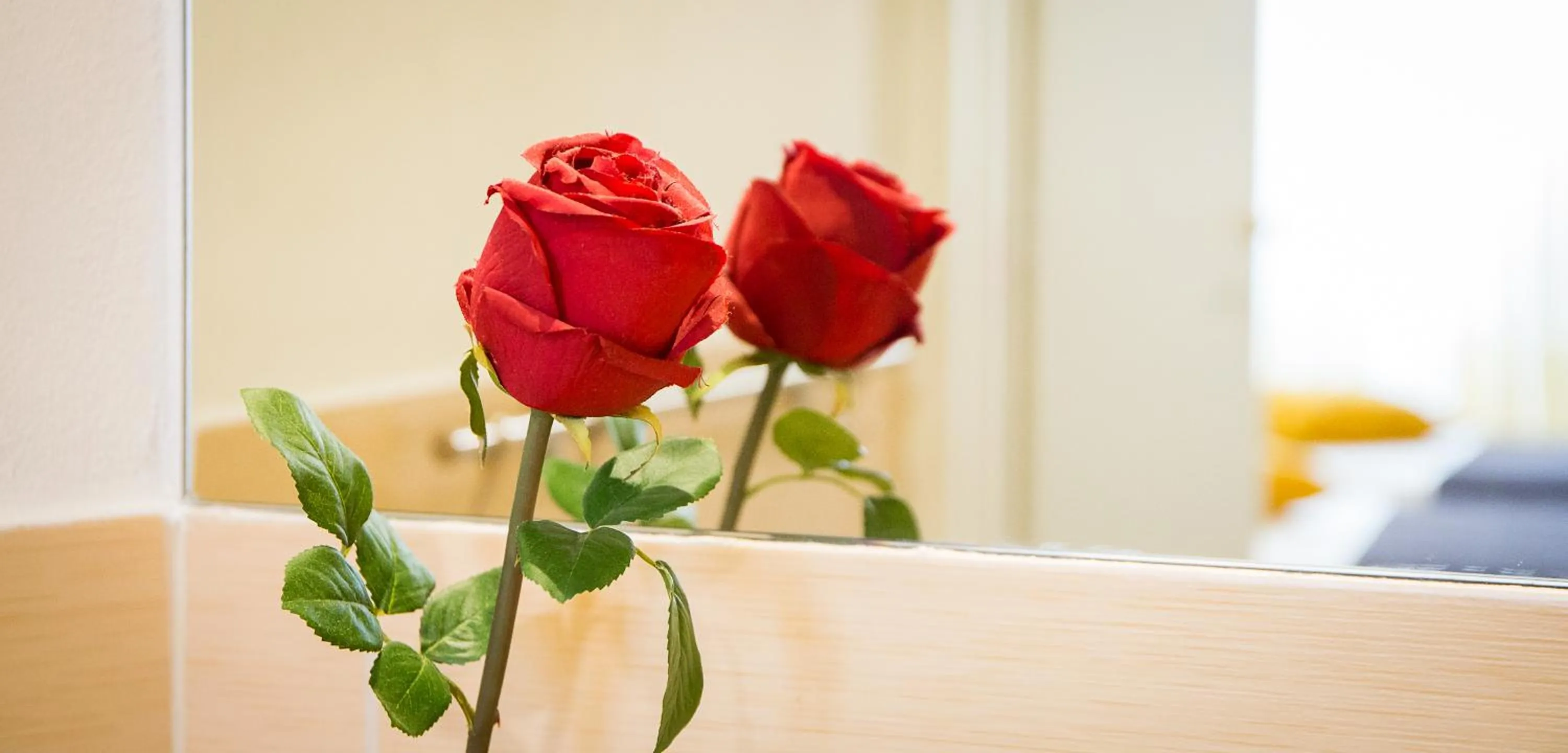 Nerva Accommodation Cavour