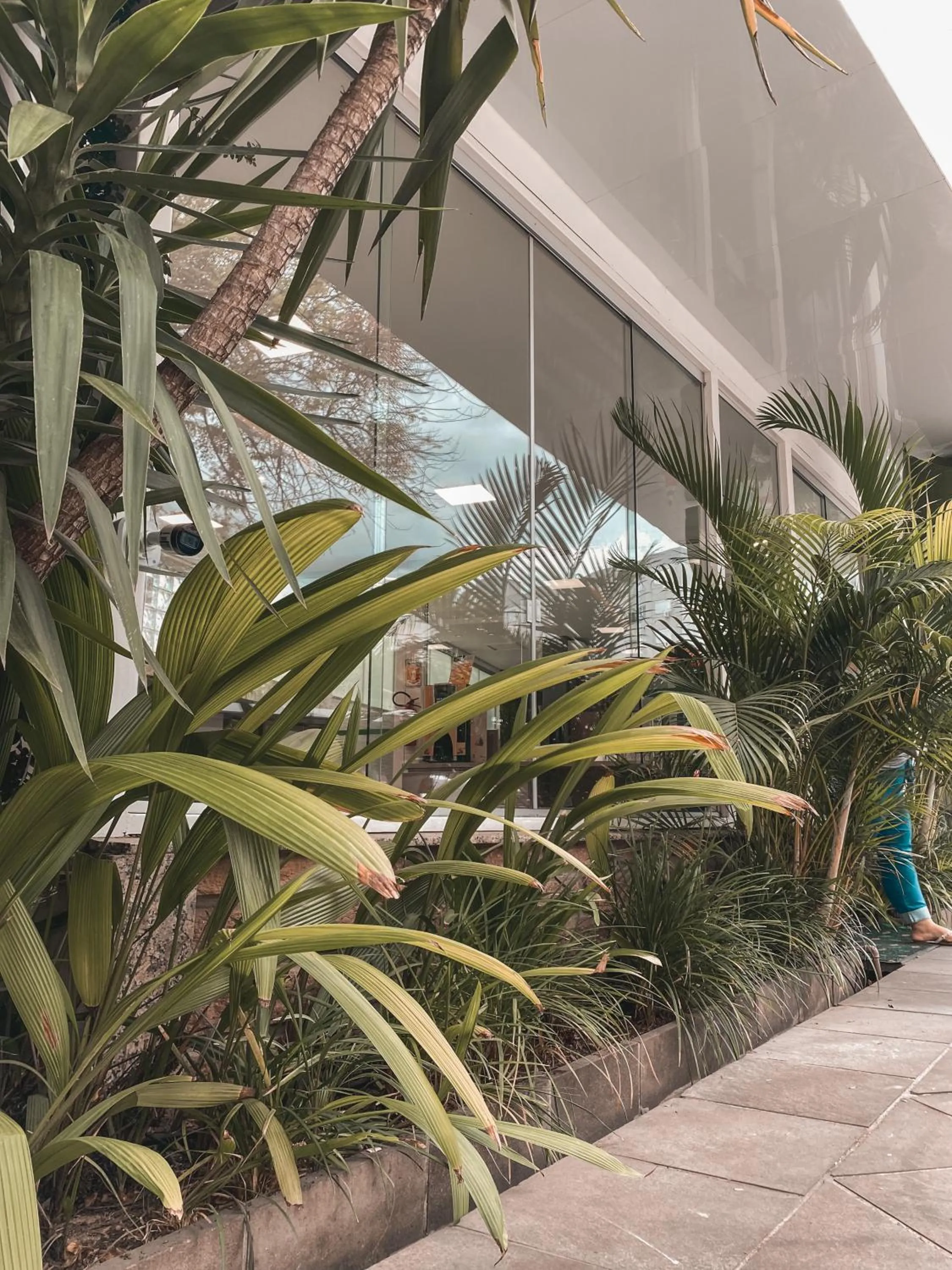 Garden in Hotel Appel