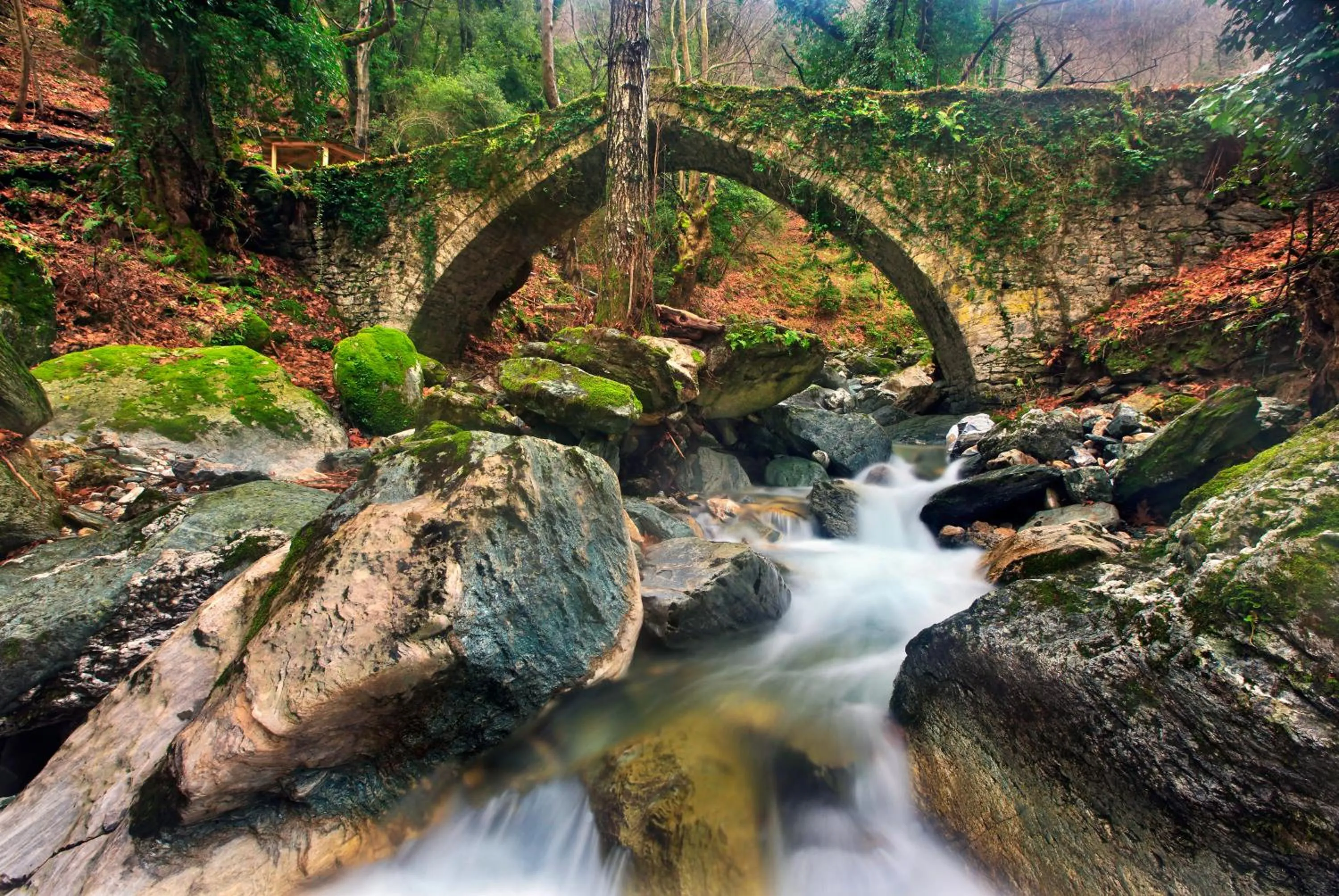 Other in 12 Months Resort & Spa