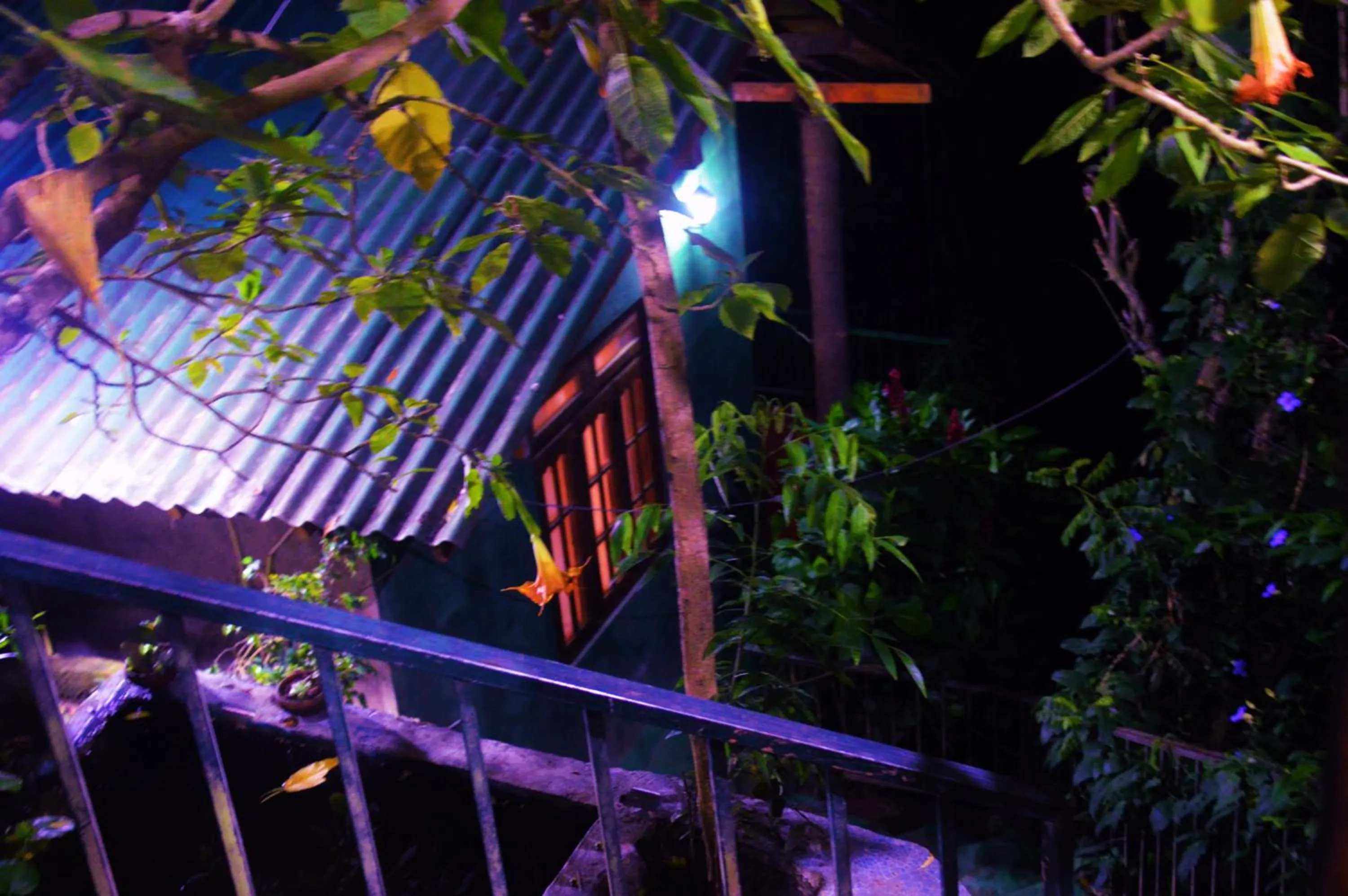 Night in Ella Green Cottages