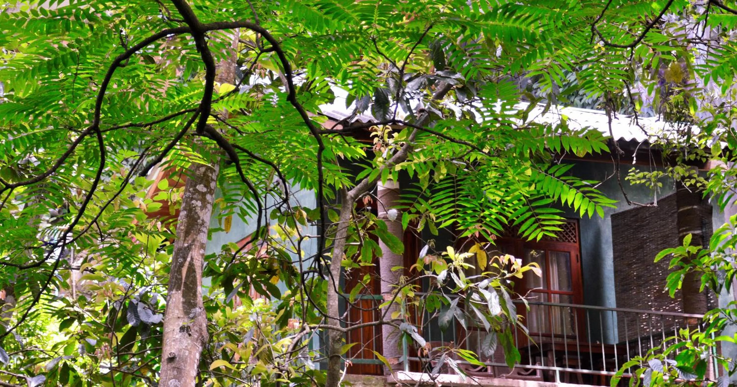 Property building in Ella Green Cottages