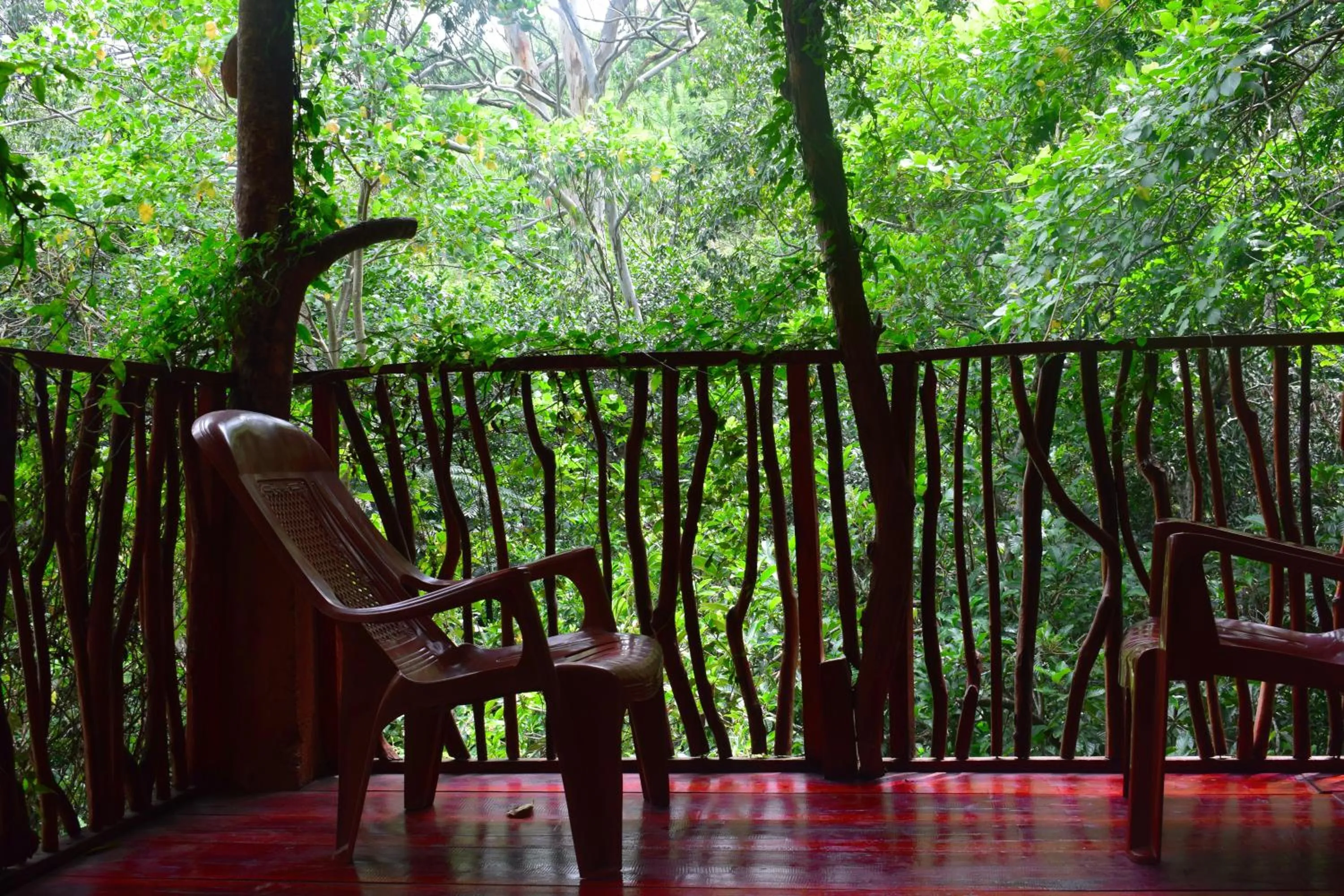 Off site in Ella Green Cottages