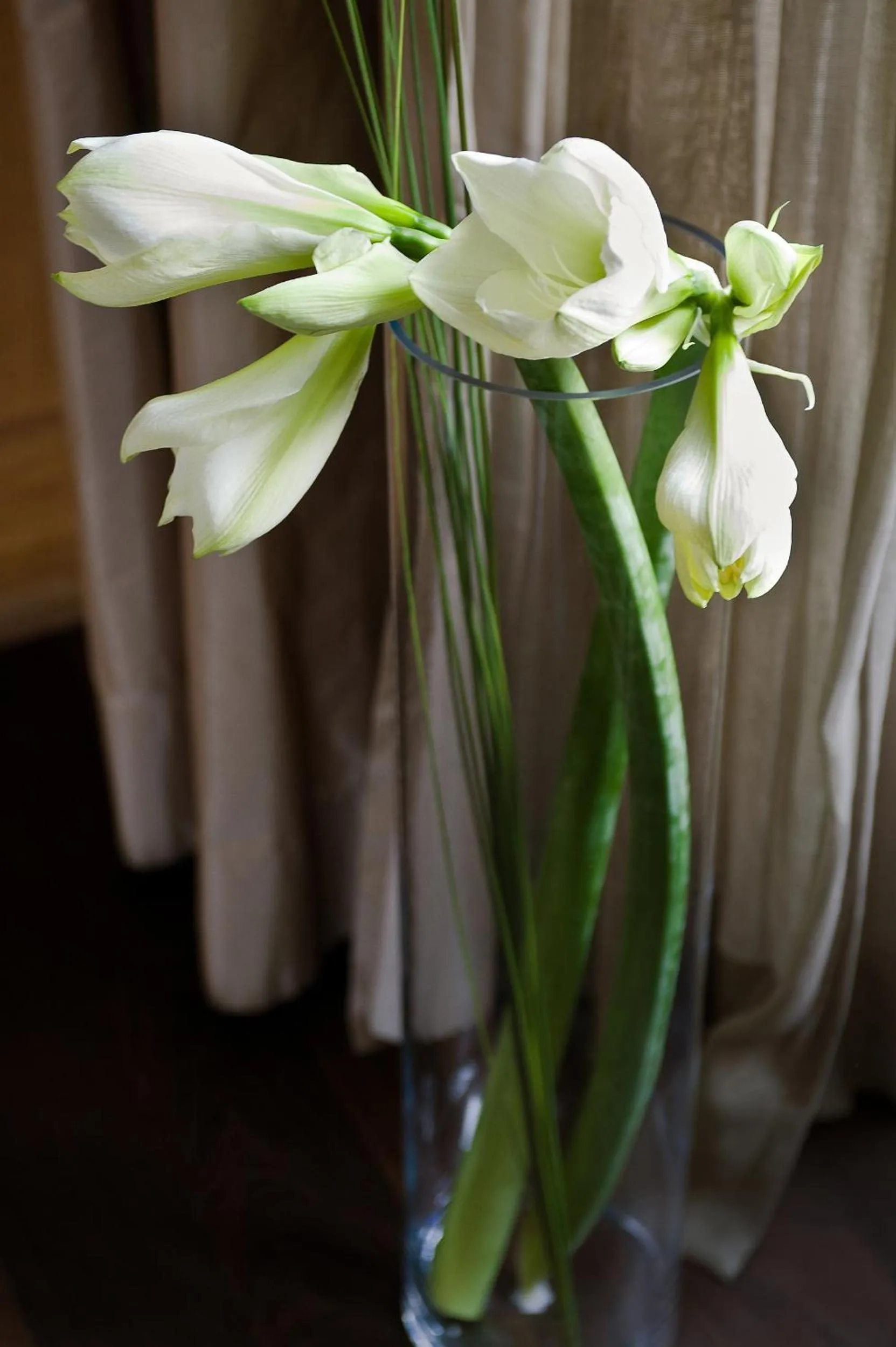 Decorative detail in Casa Montani